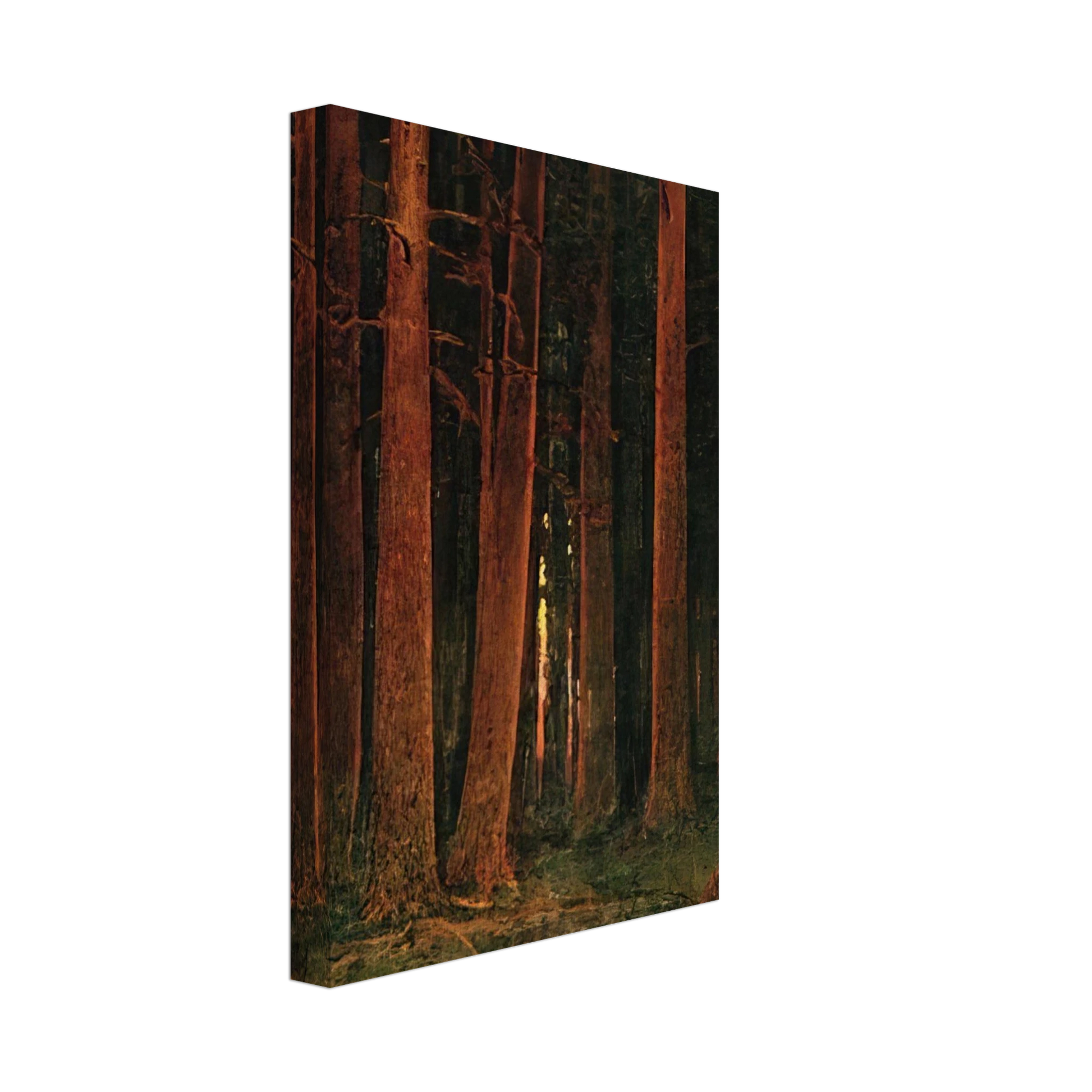 Arkhyp Kuindzhi - Sunset in the forest Canvas - 40x60 cm / 16x24 inches-canvas