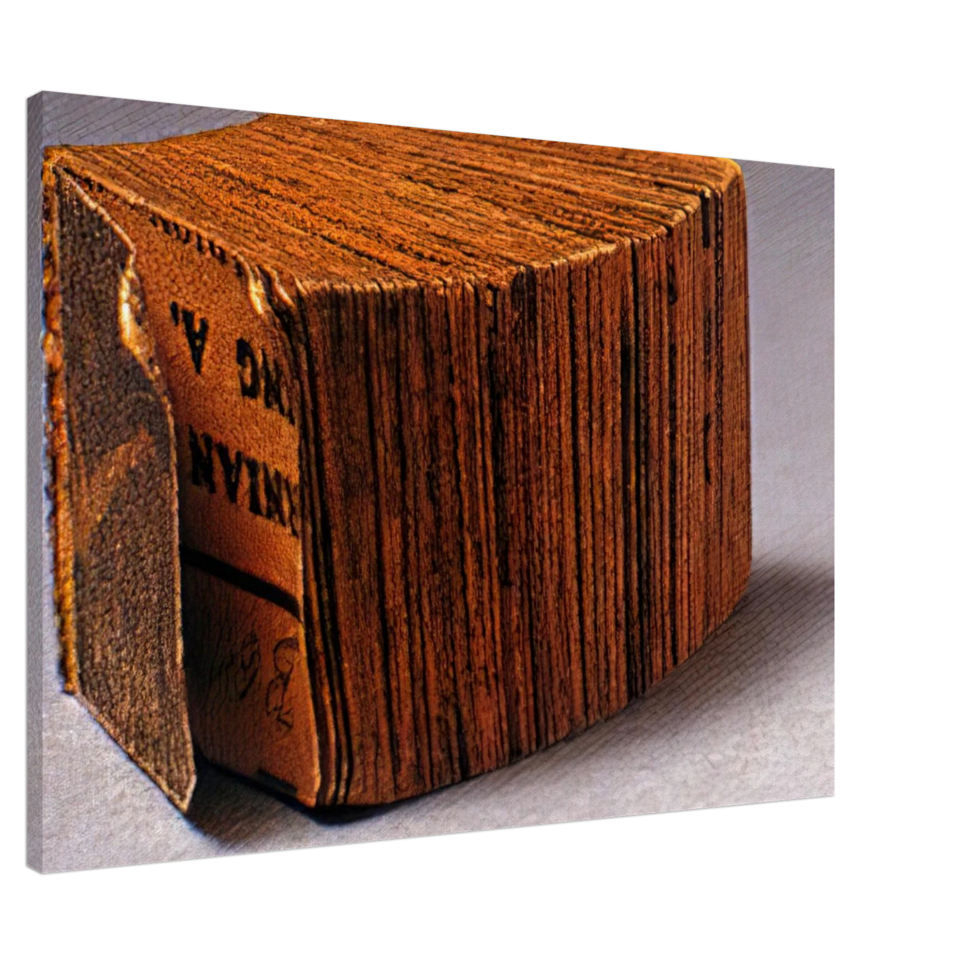 Dieter Roth - Daily Mirror - 1961 Canvas - Default Title-canvas