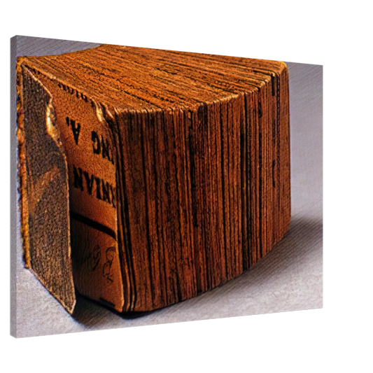 Dieter Roth - Daily Mirror - 1961 Canvas - Default Title-canvas