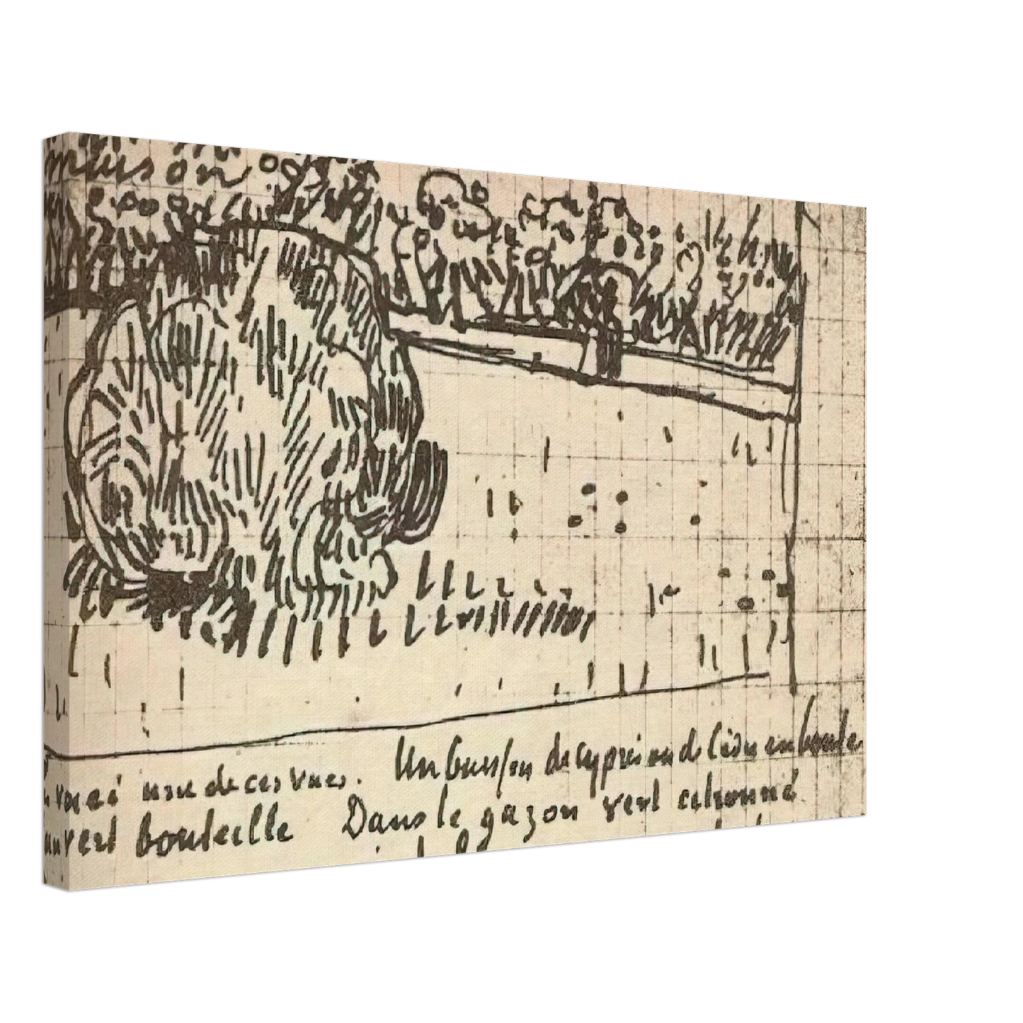 Vincent van Gogh - Round Clipped Shrub in the Public Garden Canvas - 40x60 cm / 16x24 inches-canvas