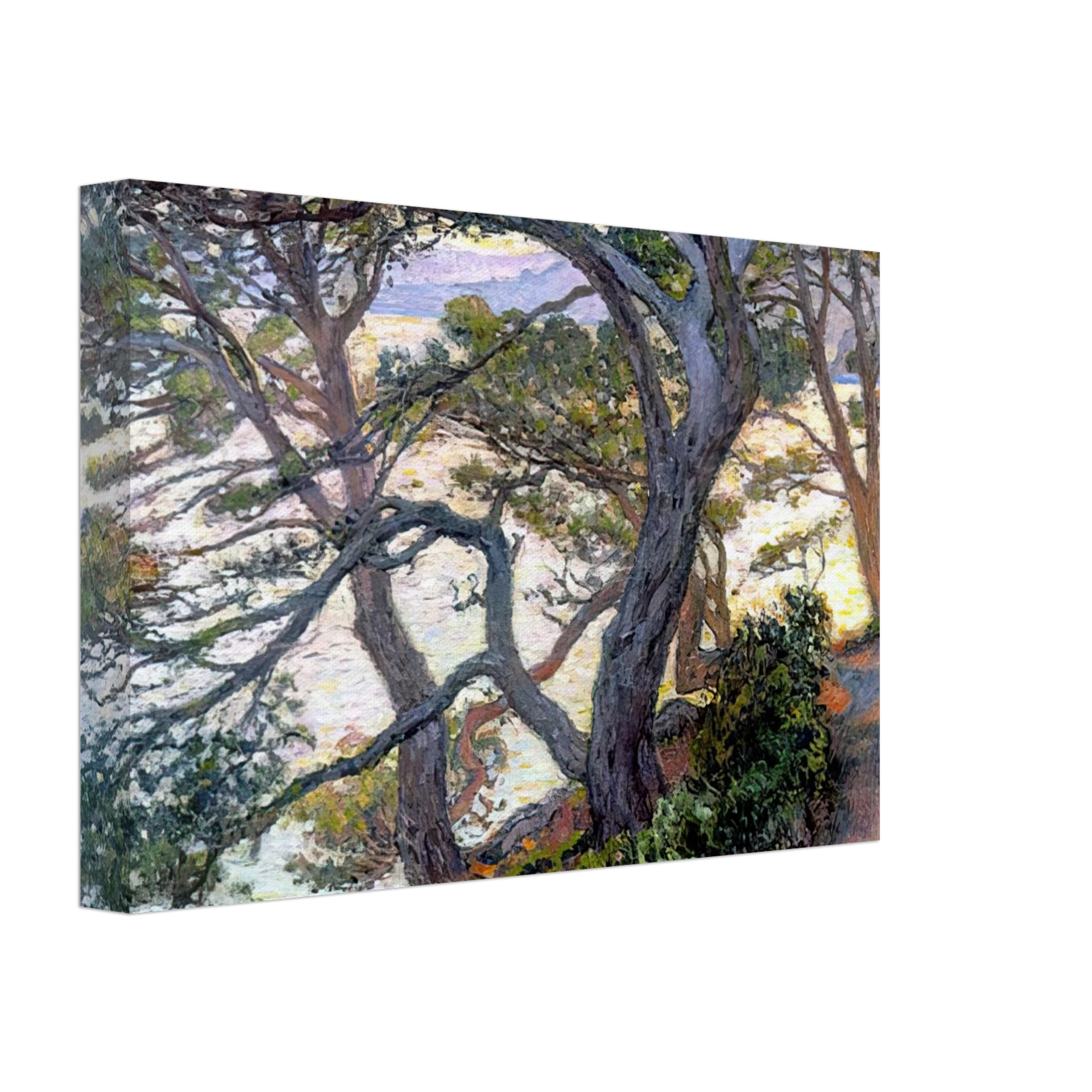 Theo van Rysselberghe - PINES OF RAYOL 1912 Canvas - 70x100 cm / 28x40 inches-canvas