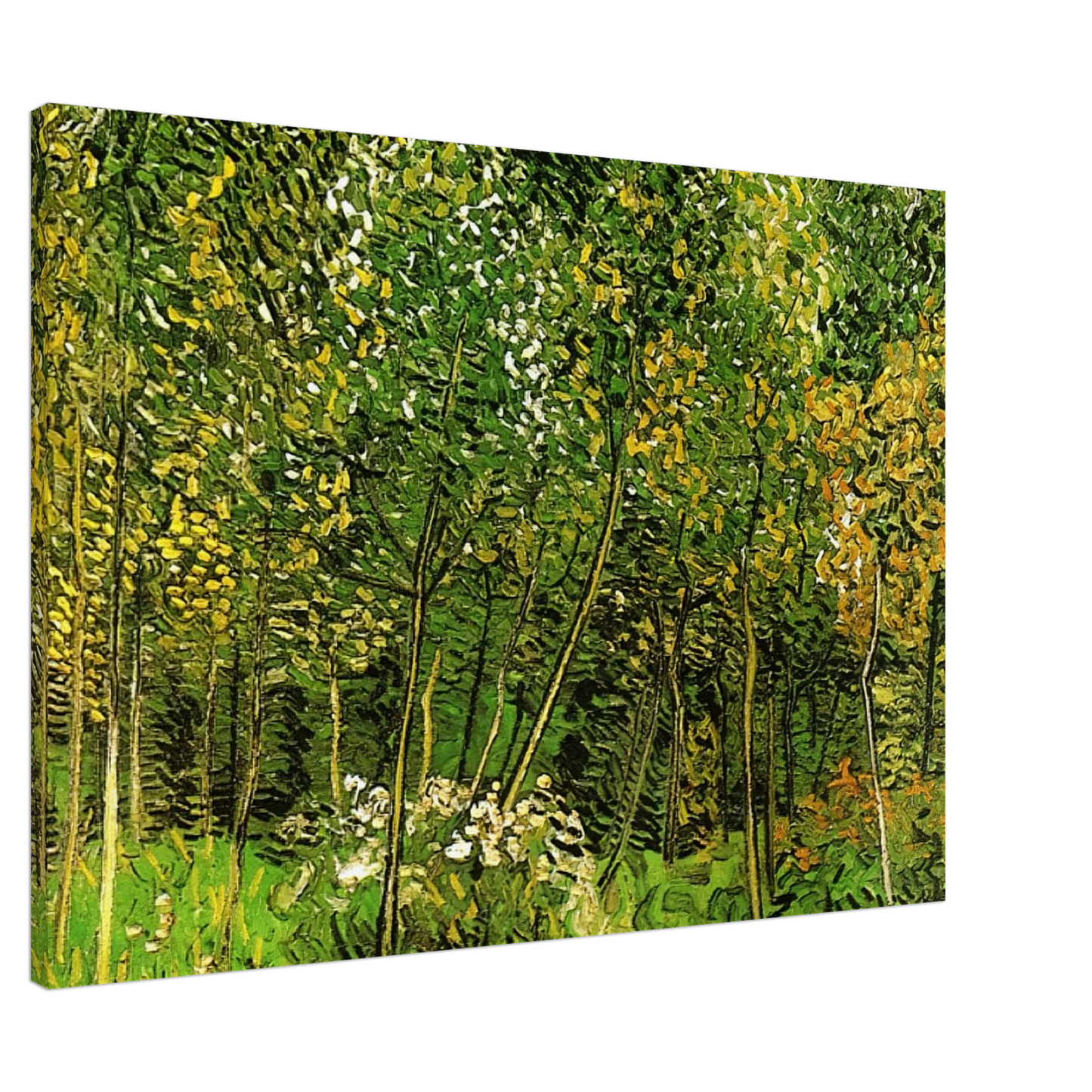 Vincent van Gogh - The Grove Canvas - 20x30 cm / 8x12 inches-canvas