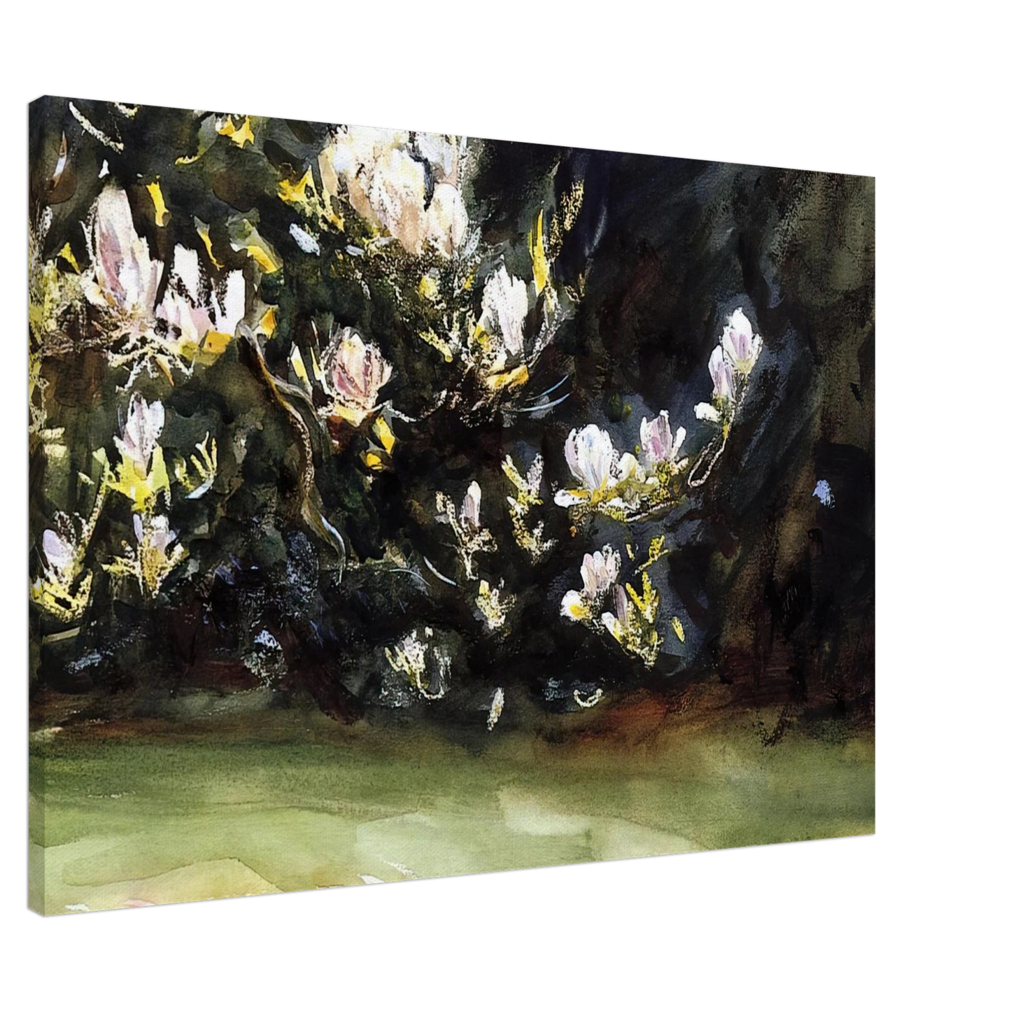 John Singer Sargent - Magnolias Canvas - 20x30 cm / 8x12 inches-canvas