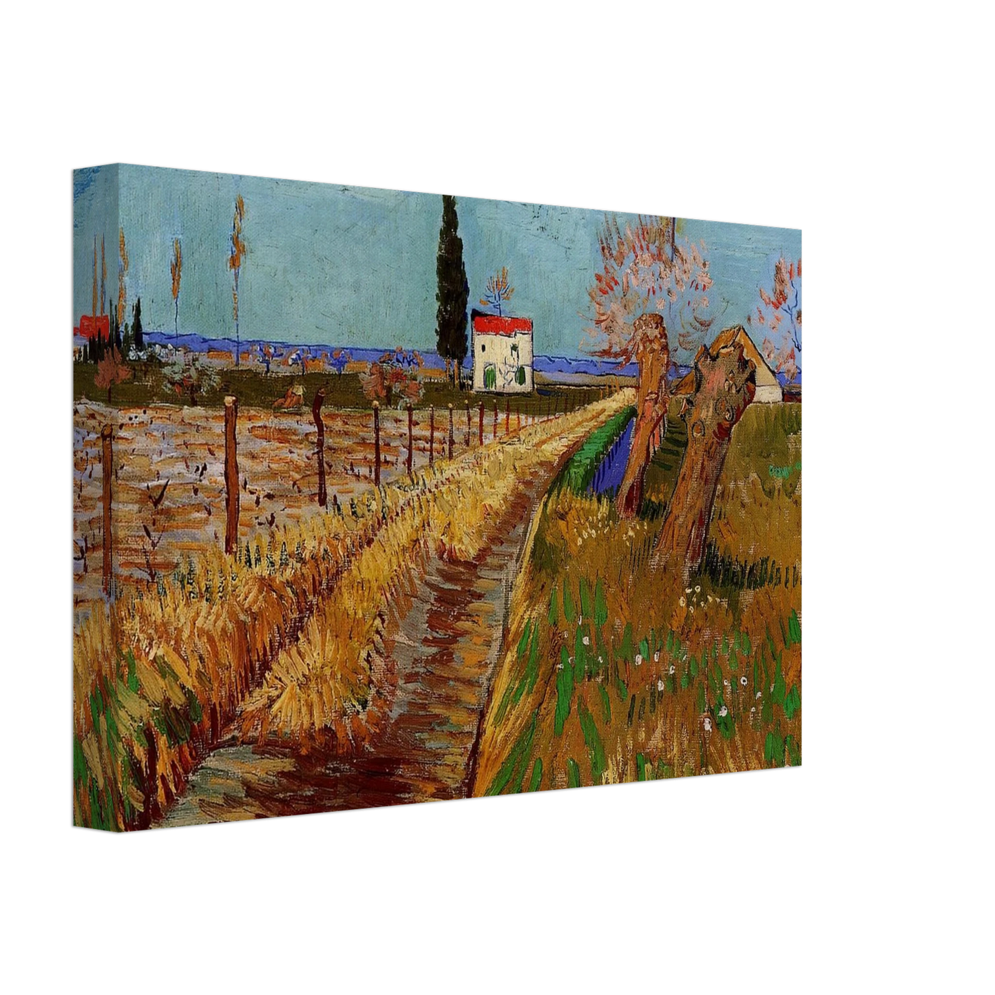 Vincent van Gogh - Path Through a Field with Willows Canvas - 70x100 cm / 28x40 inches-canvas