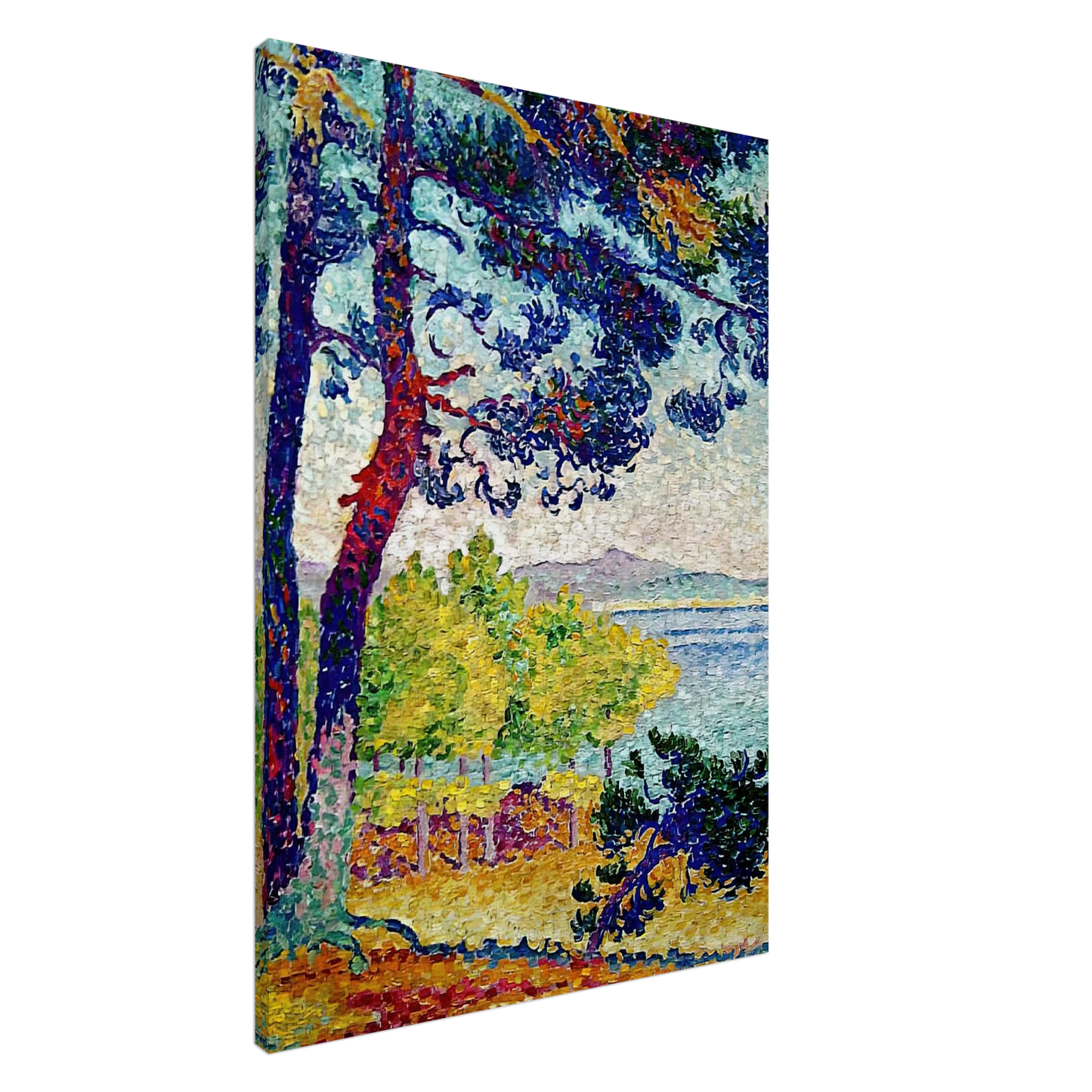 Henri-Edmond Cross - Afternoon at Pardigon, Var Canvas - 20x30 cm / 8x12 inches-canvas