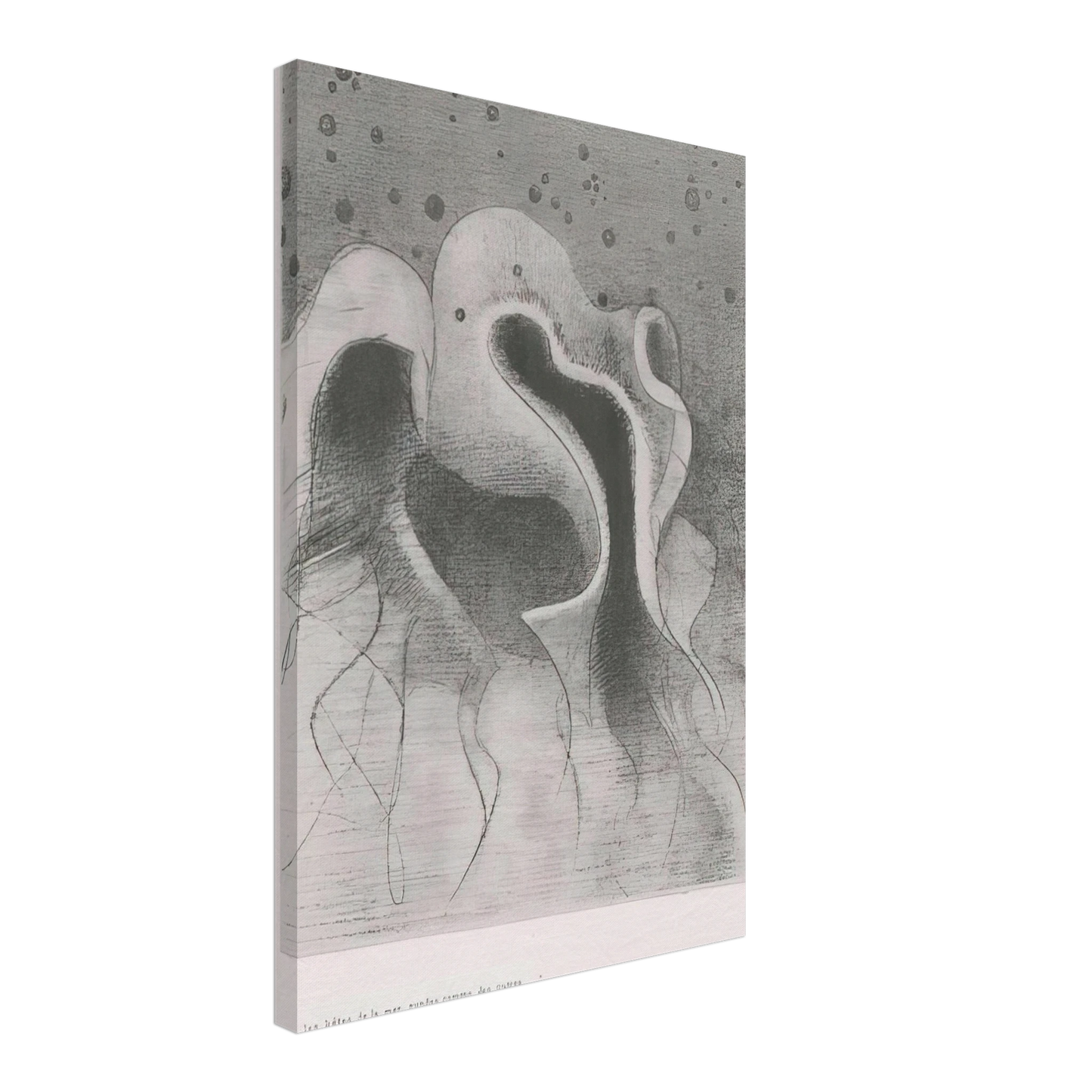 Odilon Redon - THE BEASTS OF THE SEA ROUND LIKE LEATHER BOTTLES PLATE 22 1896 Canvas - 40x60 cm / 16x24 inches-canvas