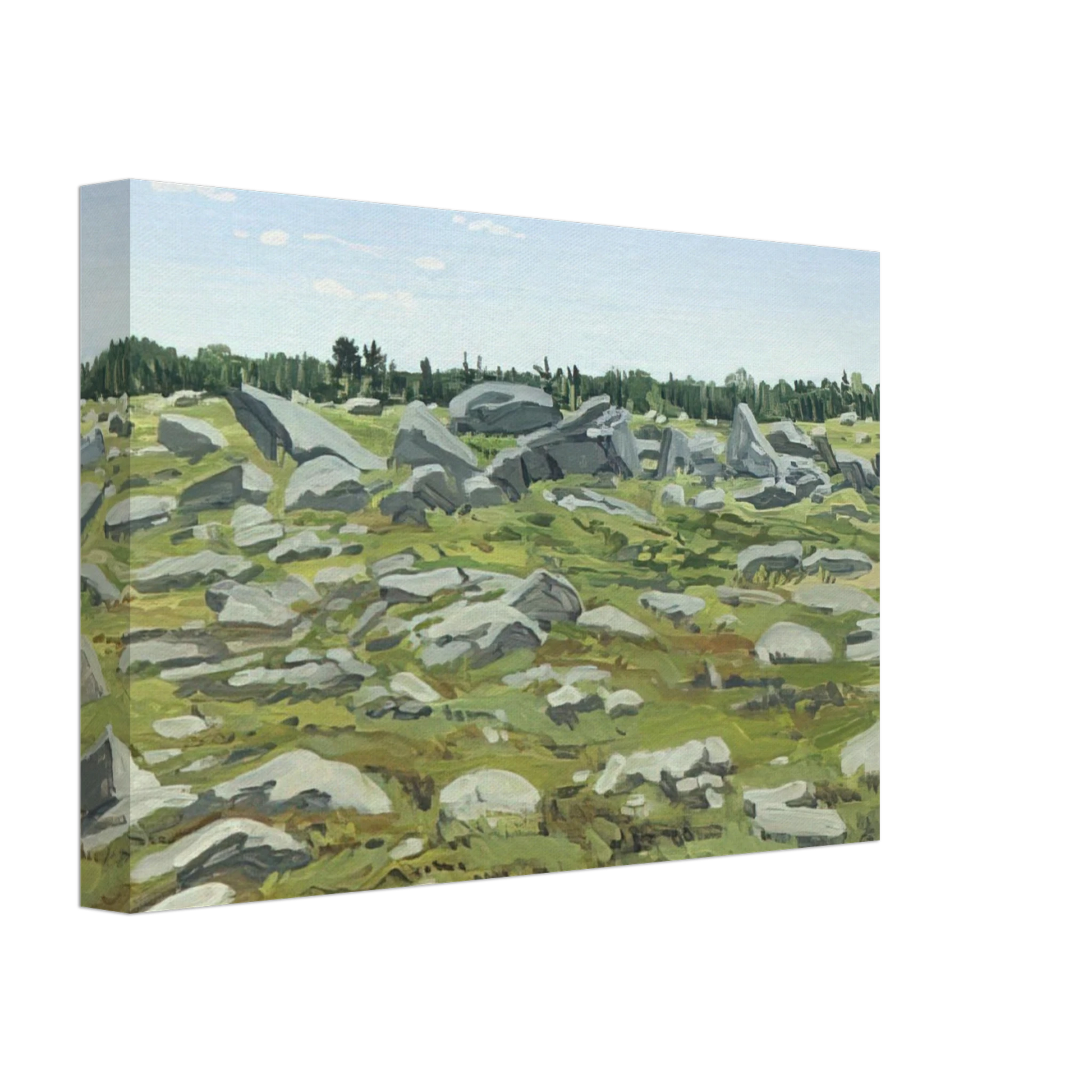 Neil Welliver - Study for Midday Barren - 1972 Canvas - 70x100 cm / 28x40 inches-canvas