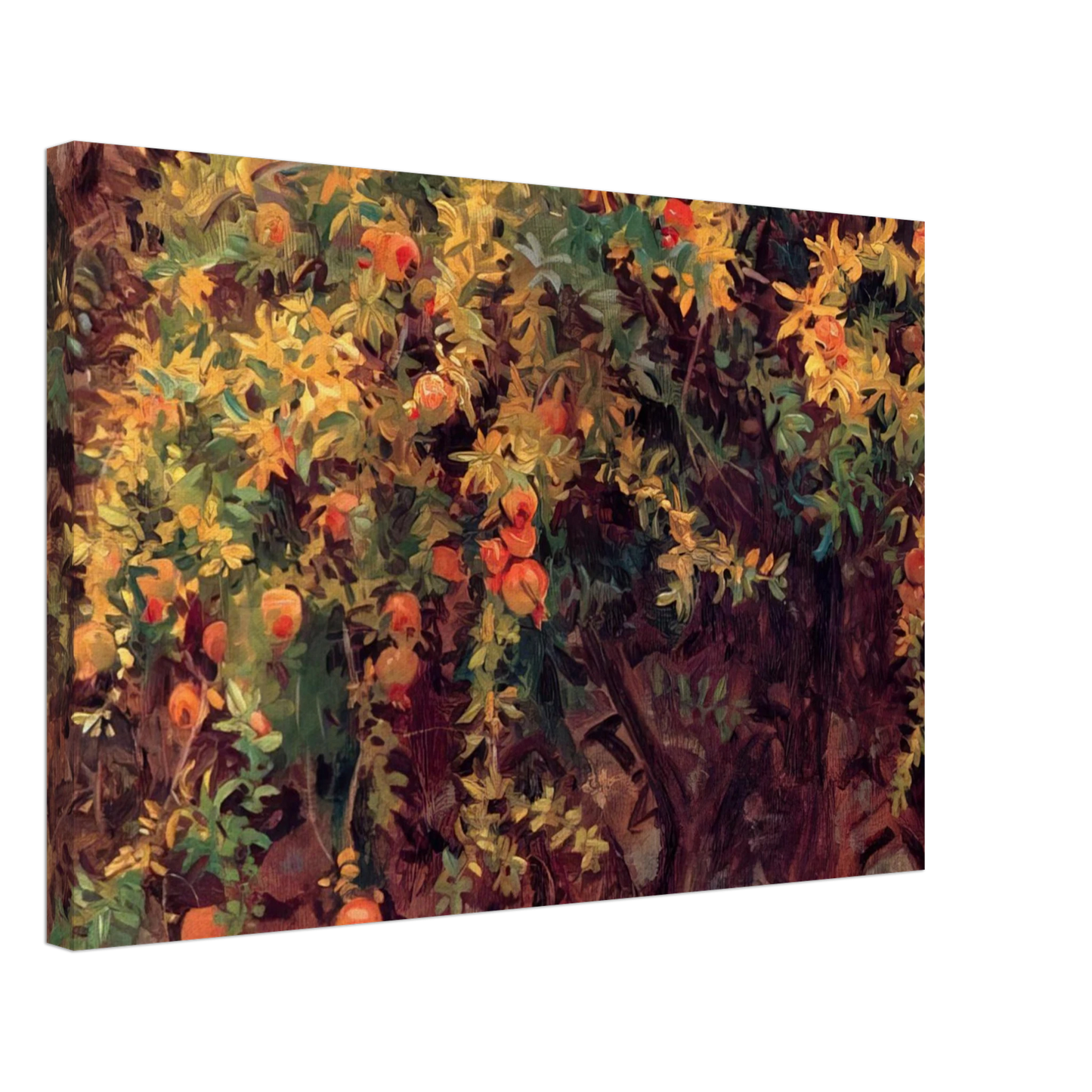 John Singer Sargent - Pomegranates Canvas - 70x100 cm / 28x40 inches-canvas