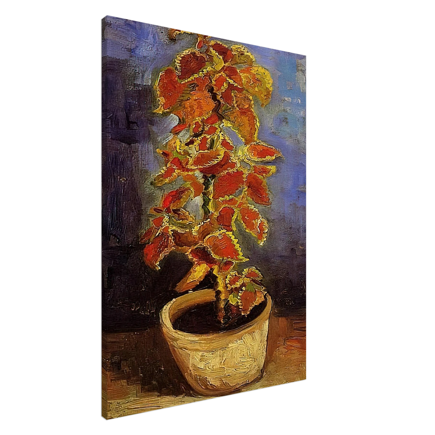 Vincent van Gogh - Coleus Plant in a Flowerpot Canvas - 20x30 cm / 8x12 inches-canvas