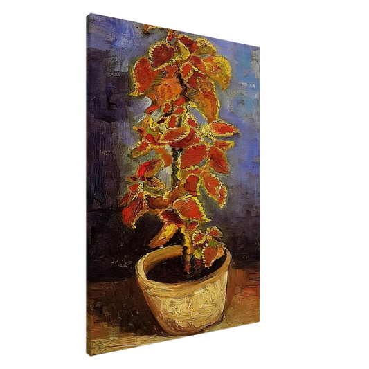 Vincent van Gogh - Coleus Plant in a Flowerpot Canvas - 20x30 cm / 8x12 inches-canvas