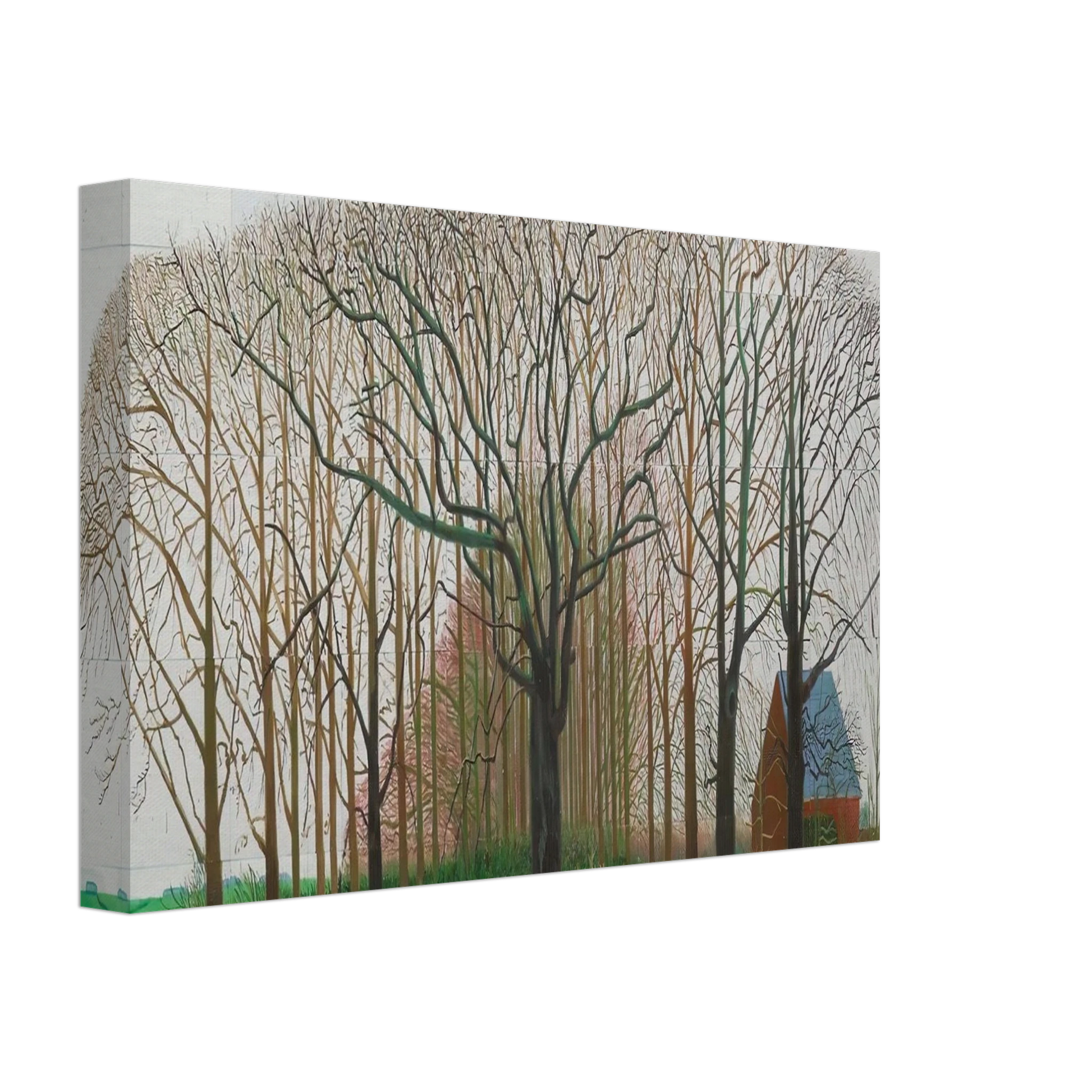 David Hockney - David Hockney Canvas - 70x100 cm / 28x40 inches-canvas