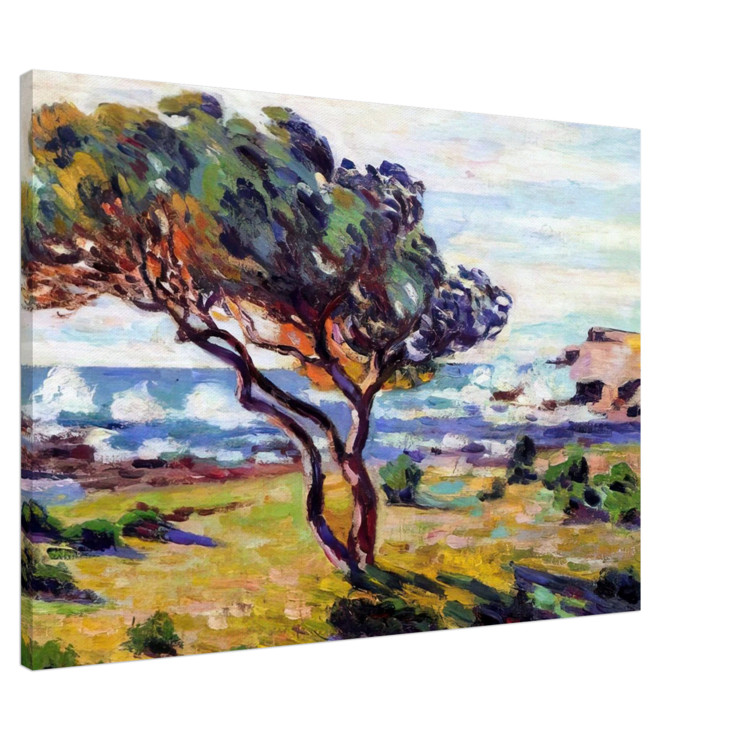 Armand Guillaumin - Rafales de vent, Le Brusc - 1911 Canvas - 20x30 cm / 8x12 inches-canvas