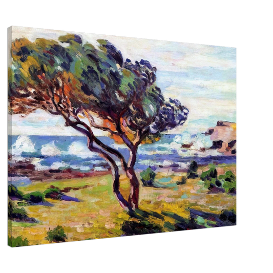 Armand Guillaumin - Rafales de vent, Le Brusc - 1911 Canvas - 20x30 cm / 8x12 inches-canvas