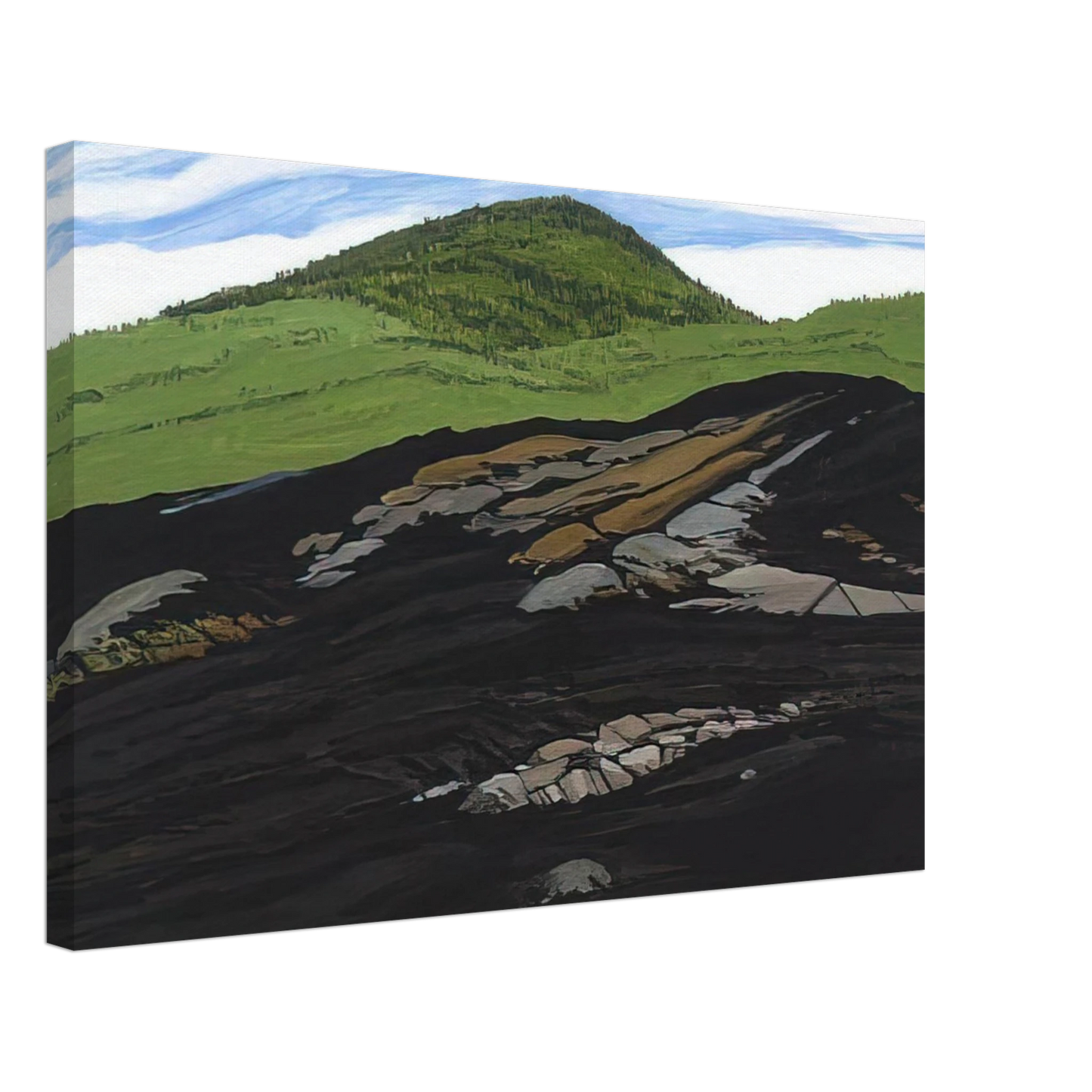 Neil Welliver - Blueberry Burn Morey's Hill - 1997 Canvas - 70x100 cm / 28x40 inches-canvas