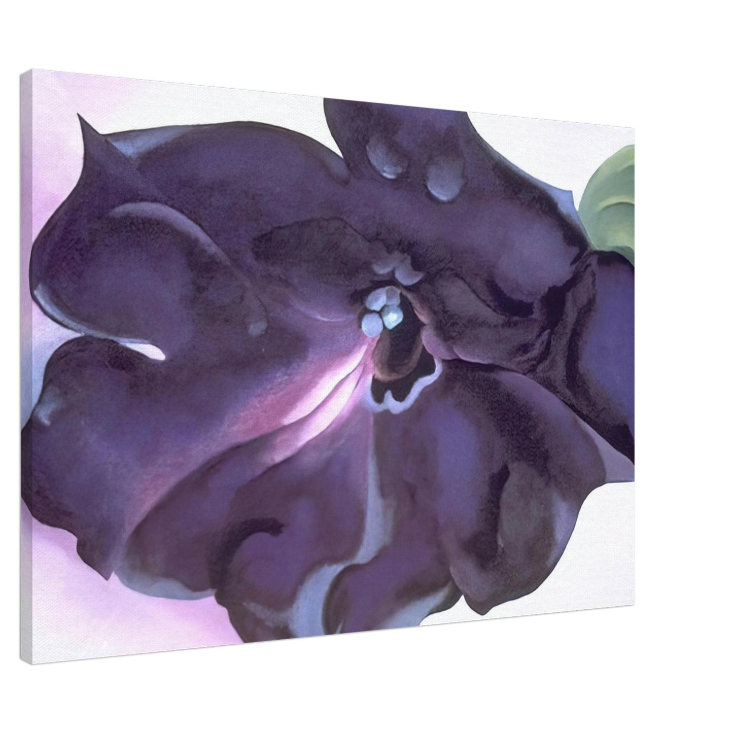 Georgia O'Keeffe - Petunia Canvas - 20x30 cm / 8x12 inches-canvas