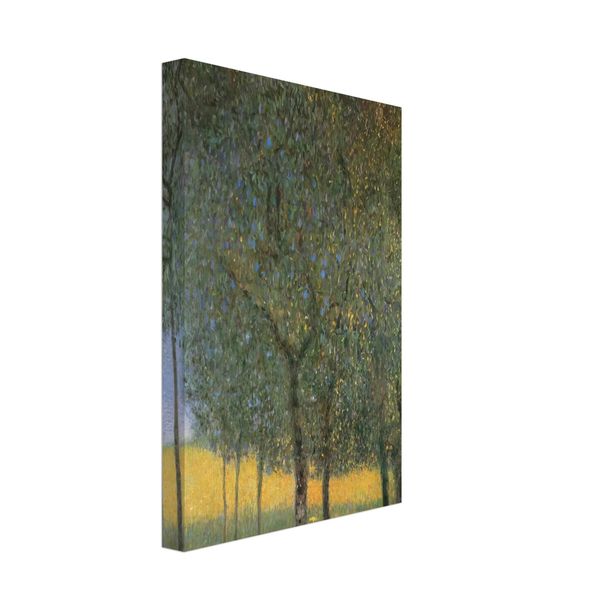 Gustav Klimt - FRUIT TREES 1901 Canvas - 70x100 cm / 28x40 inches-canvas