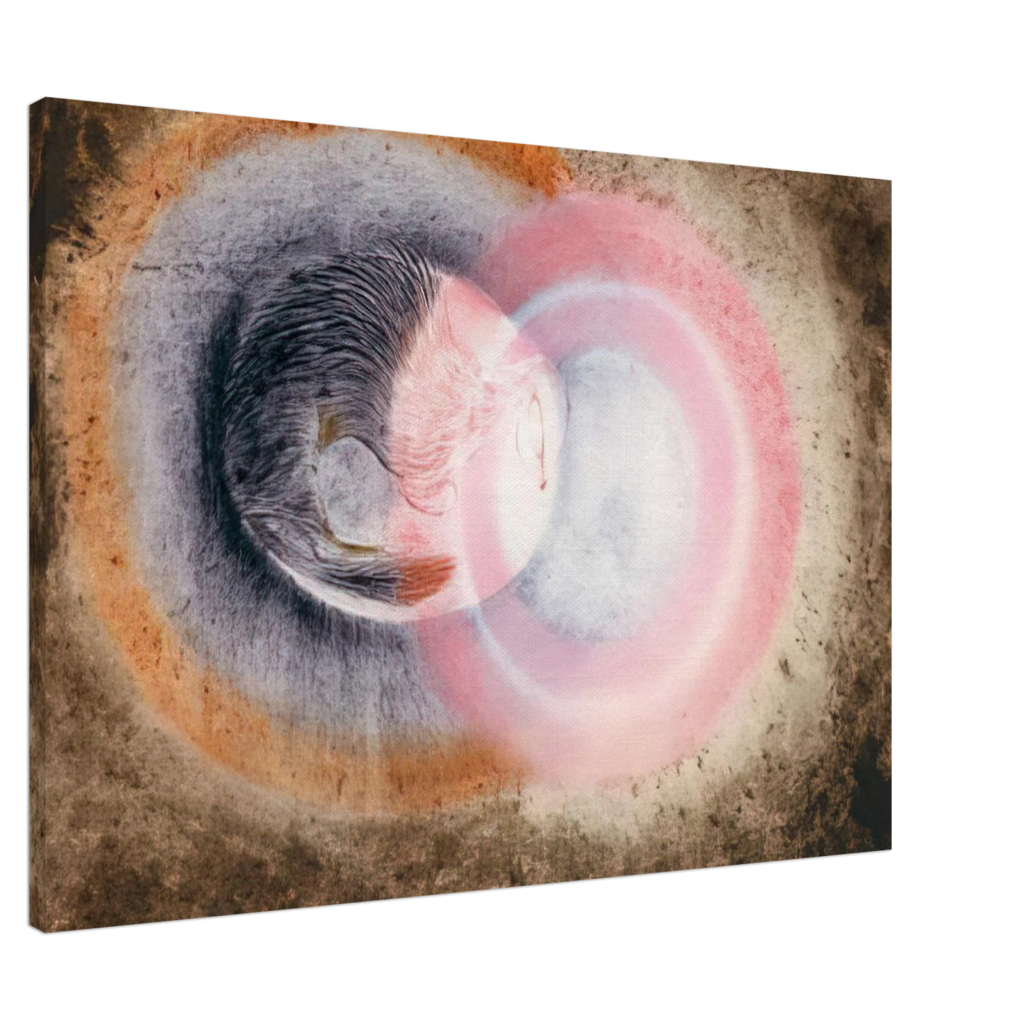 Morris Graves - Hibernation - 1954 Canvas - 20x30 cm / 8x12 inches-canvas