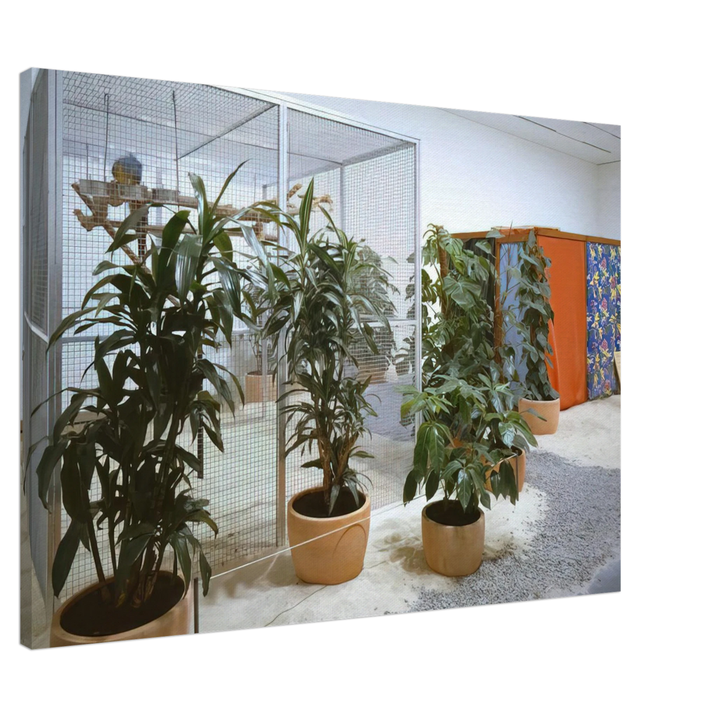 Helio Oiticica - Tropicalia, Penetrables PN 2 'Purity is a myth' and PN 3 'Imagetical' Canvas - 20x30 cm / 8x12 inches-canvas
