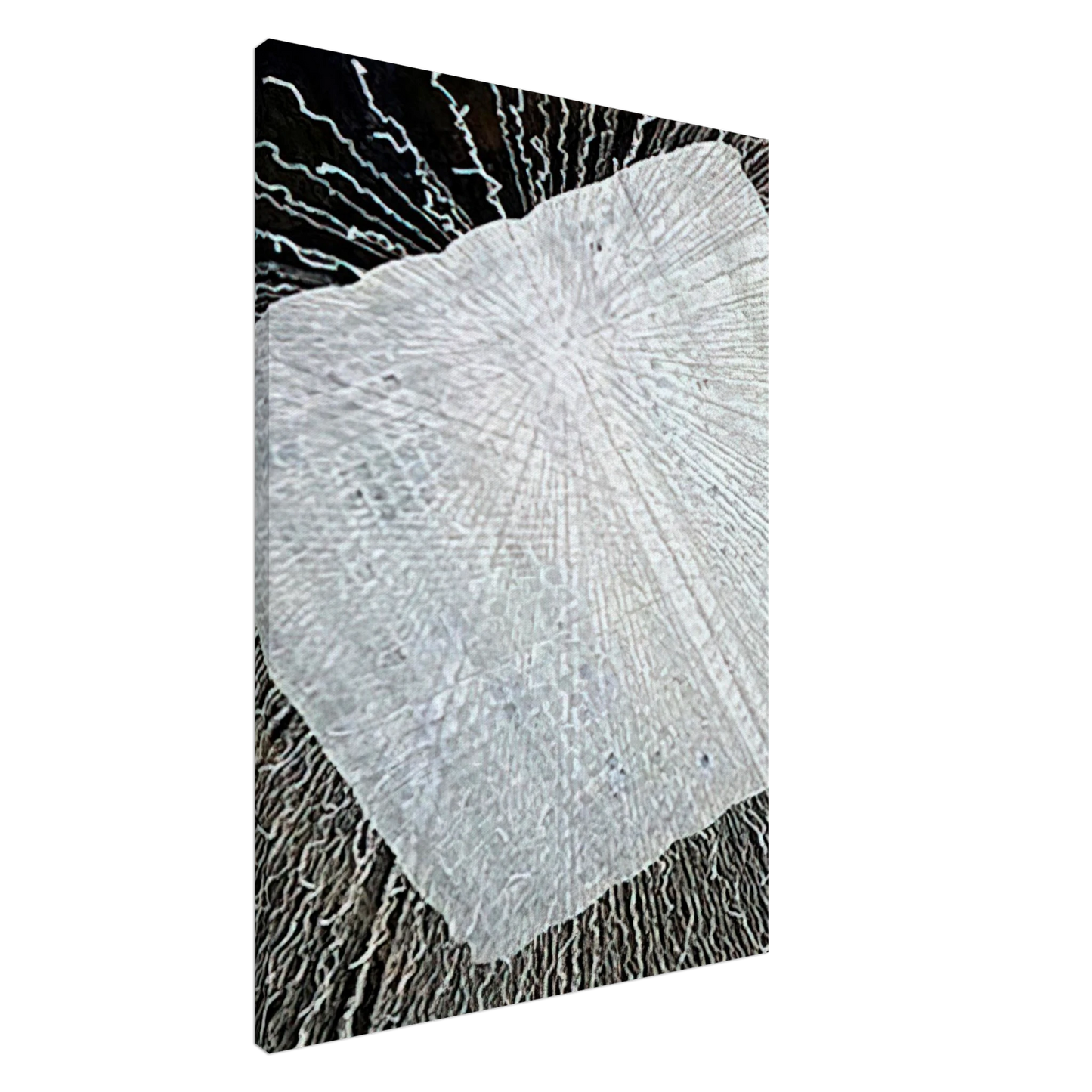 Lenore Tawney - CLOUD SERIES V 1978 Canvas - 20x30 cm / 8x12 inches-canvas