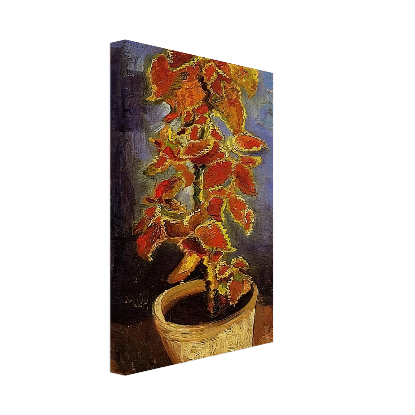 Vincent van Gogh - Coleus Plant in a Flowerpot Canvas - 70x100 cm / 28x40 inches-canvas