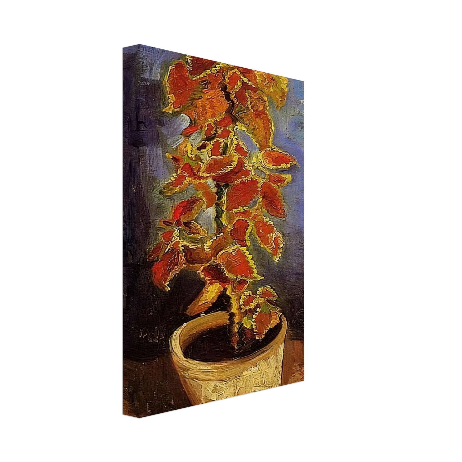 Vincent van Gogh - Coleus Plant in a Flowerpot Canvas - 70x100 cm / 28x40 inches-canvas