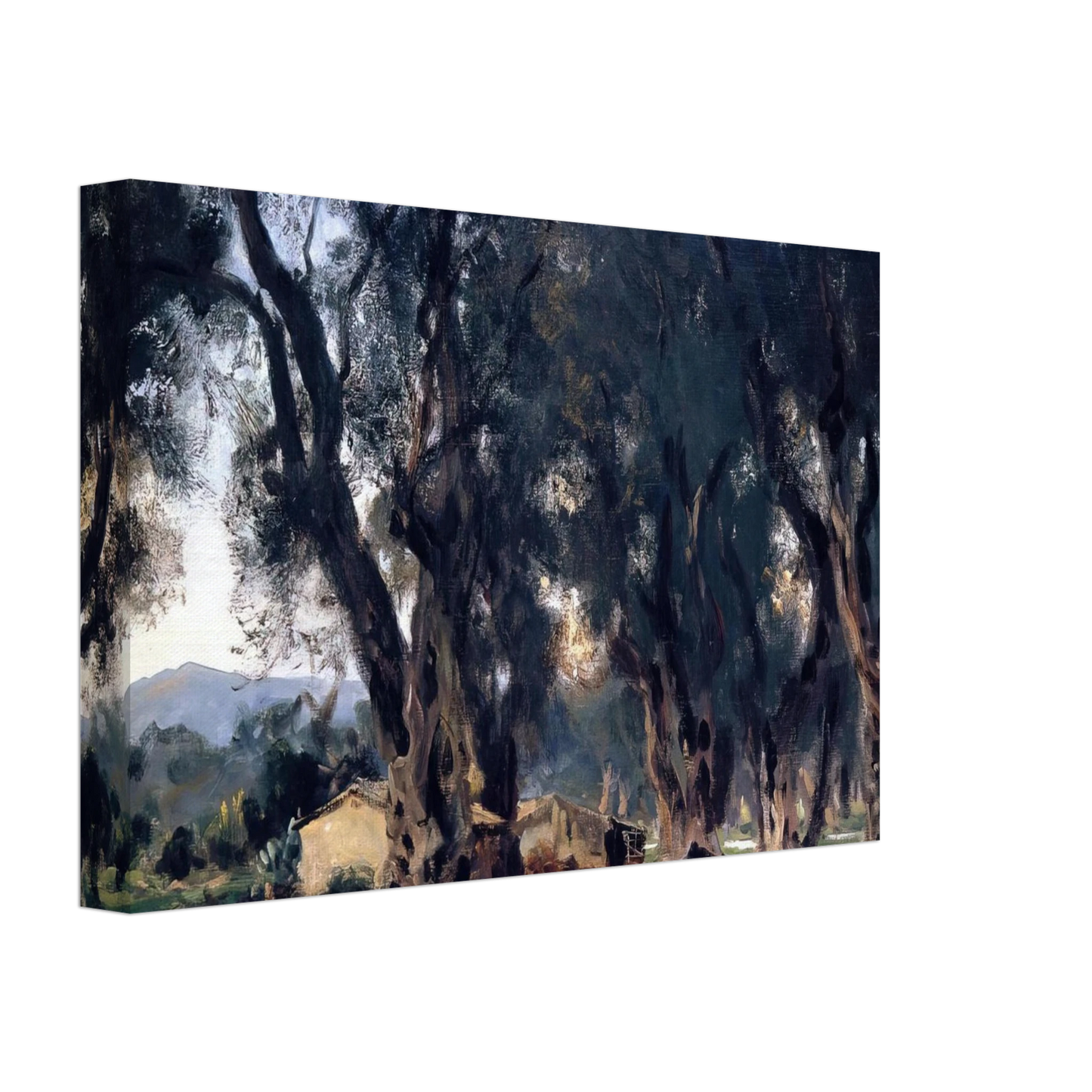 John Singer Sargent - Olive Trees at Corfu Canvas - 40x60 cm / 16x24 inches-canvas