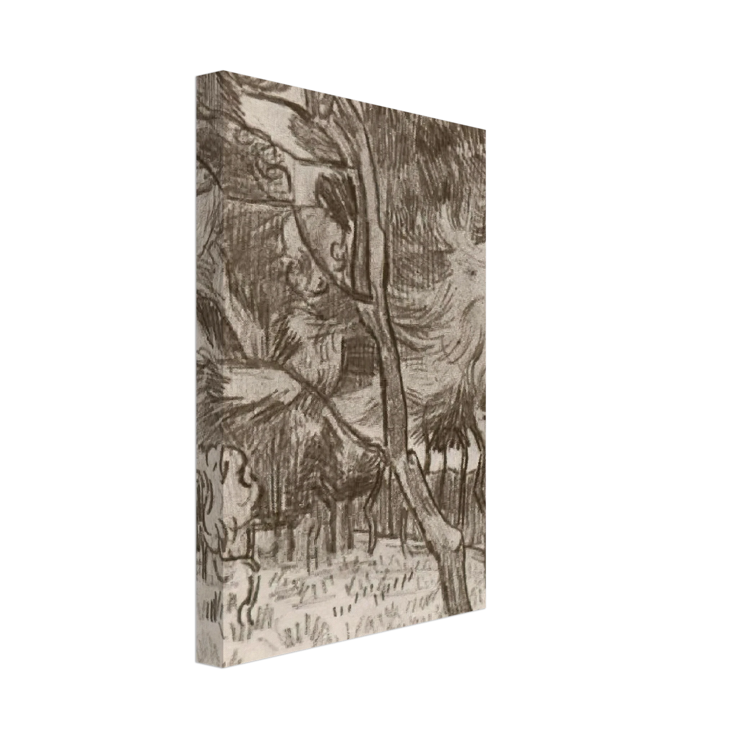 Vincent van Gogh - Pine Trees in the Garden of the Asylum Canvas - 40x60 cm / 16x24 inches-canvas