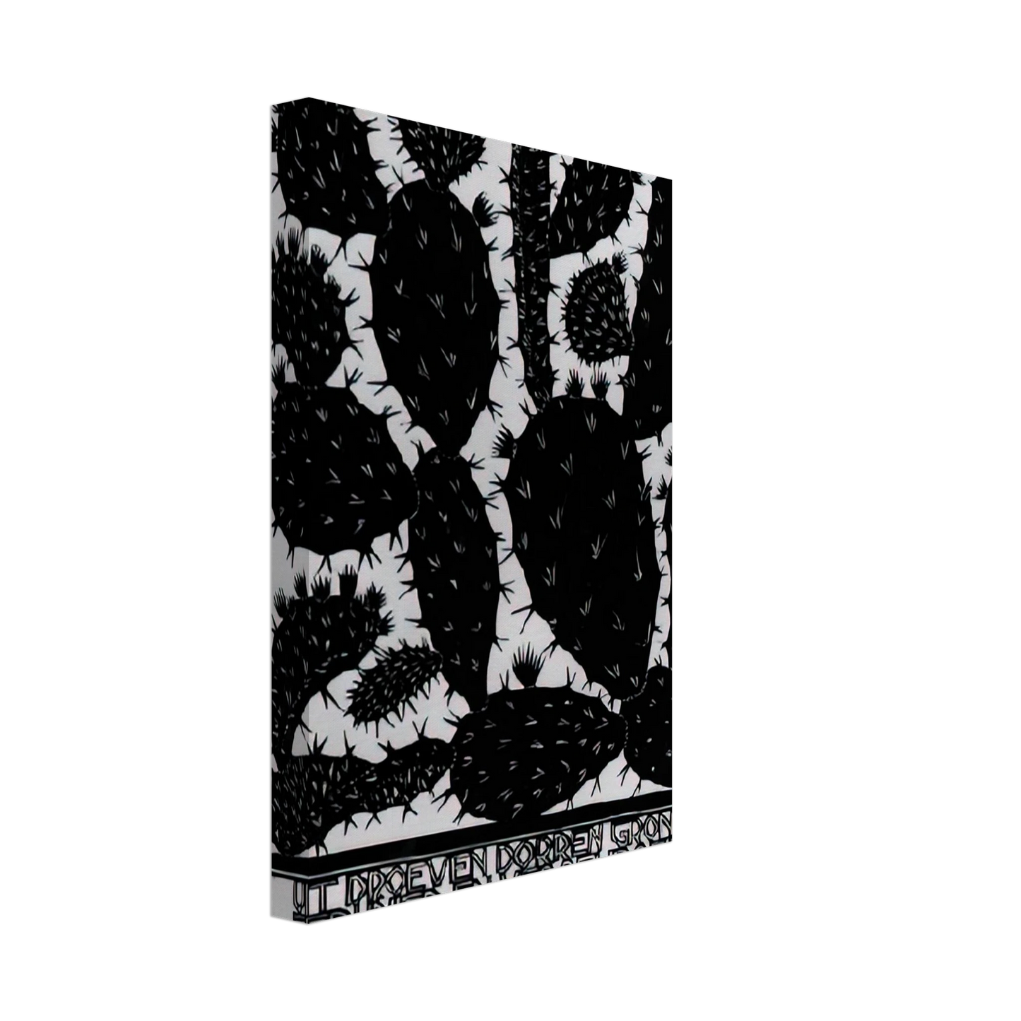 MC Escher - EMBLEMATA CACTUS Canvas - 70x100 cm / 28x40 inches-canvas