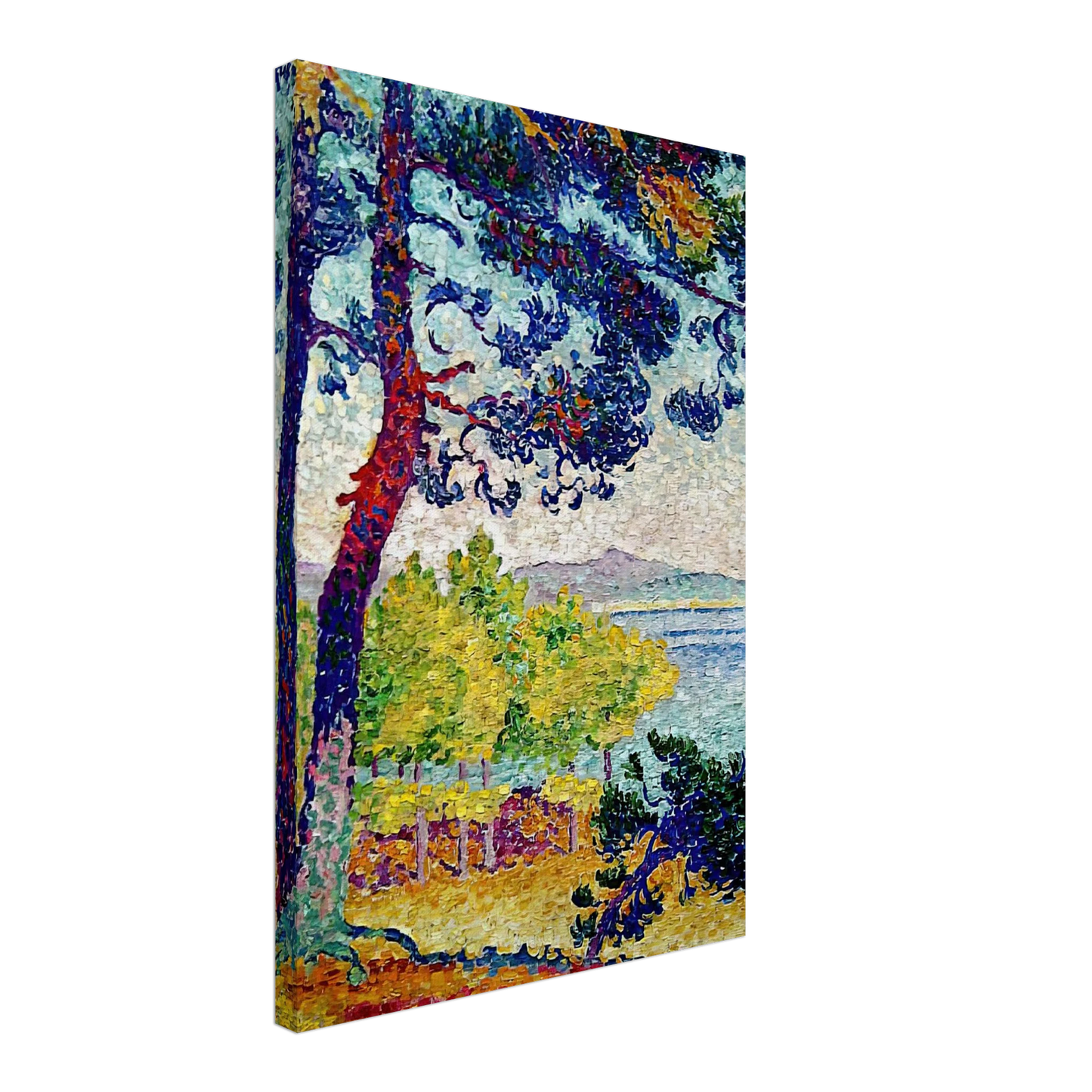 Henri-Edmond Cross - Afternoon at Pardigon, Var Canvas - 70x100 cm / 28x40 inches-canvas