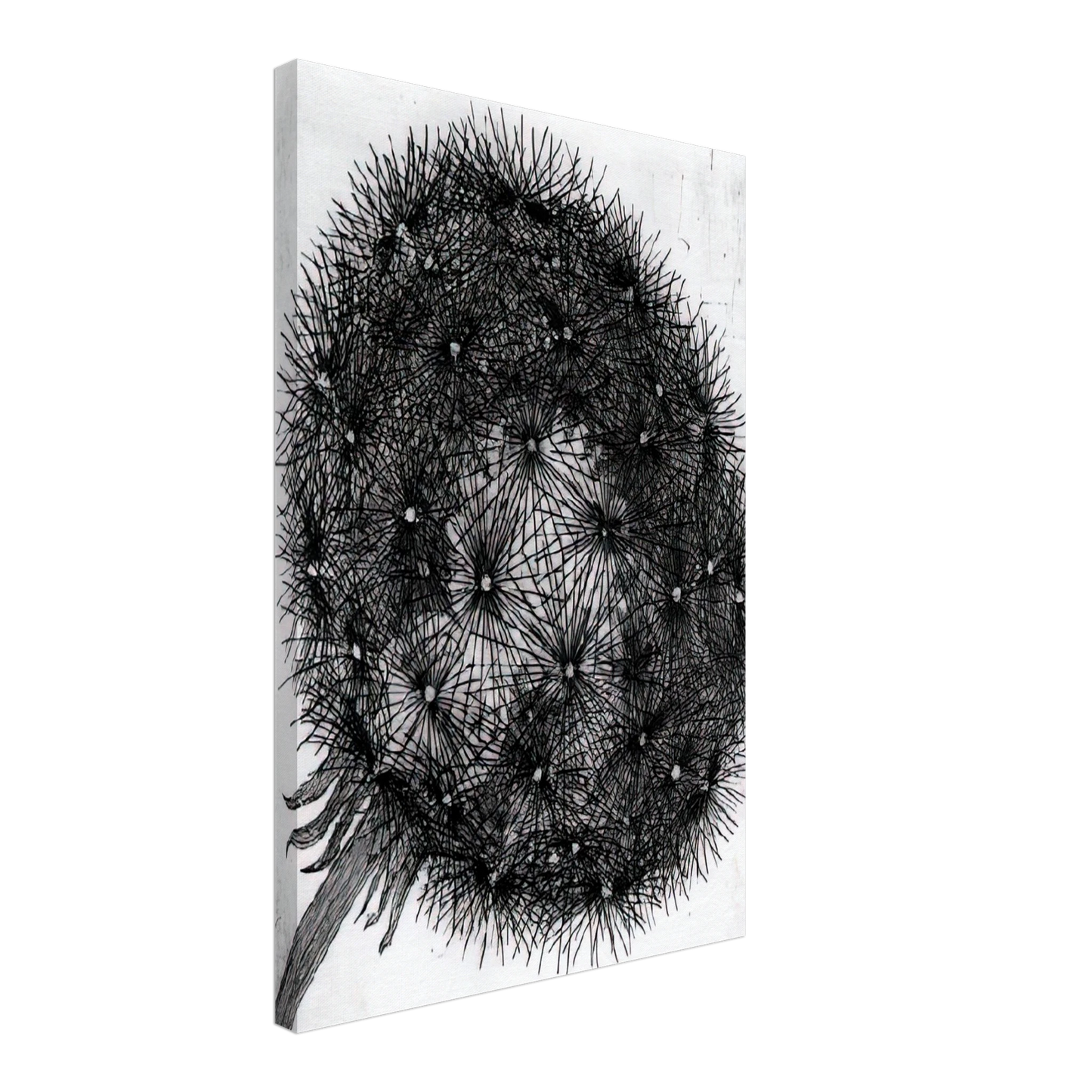 MC Escher - BLOWBALL I Canvas - 40x60 cm / 16x24 inches-canvas