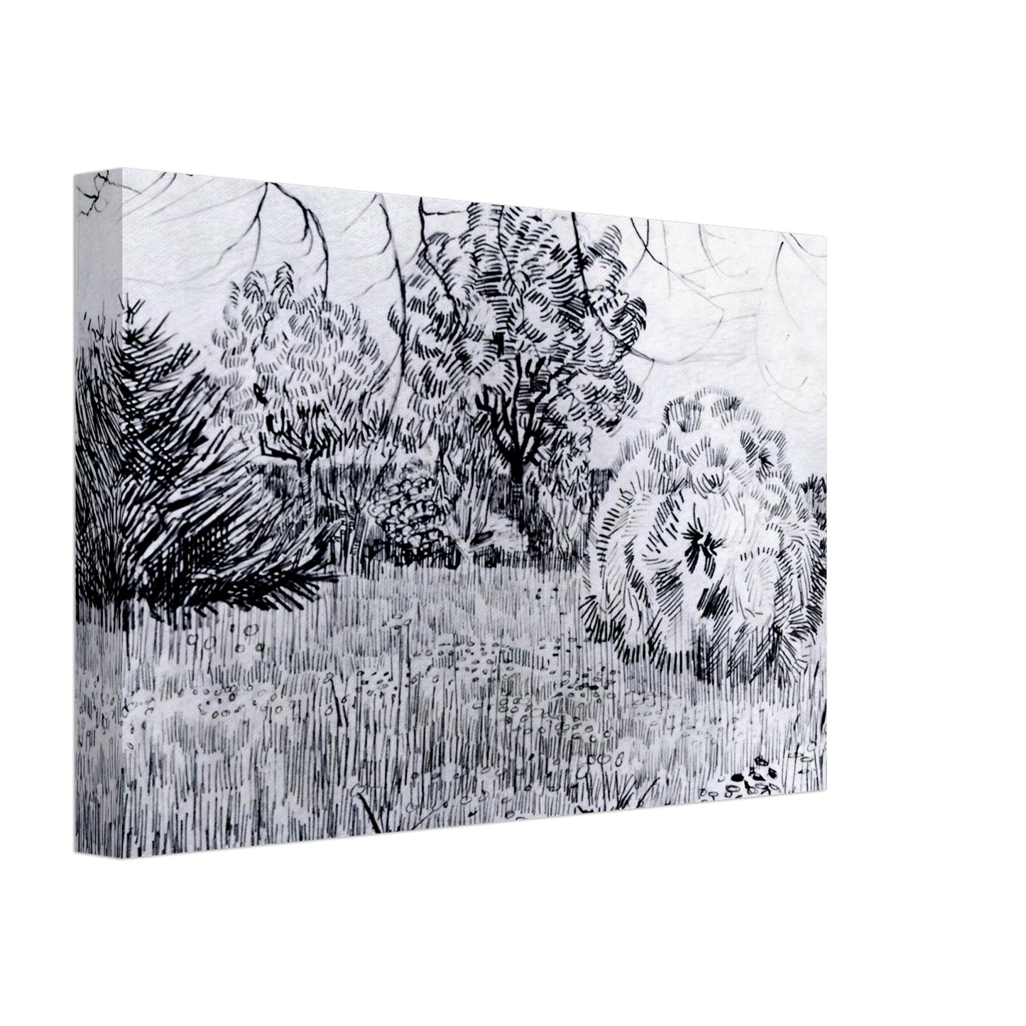 Vincent van Gogh - Park at Arles Canvas - 40x60 cm / 16x24 inches-canvas