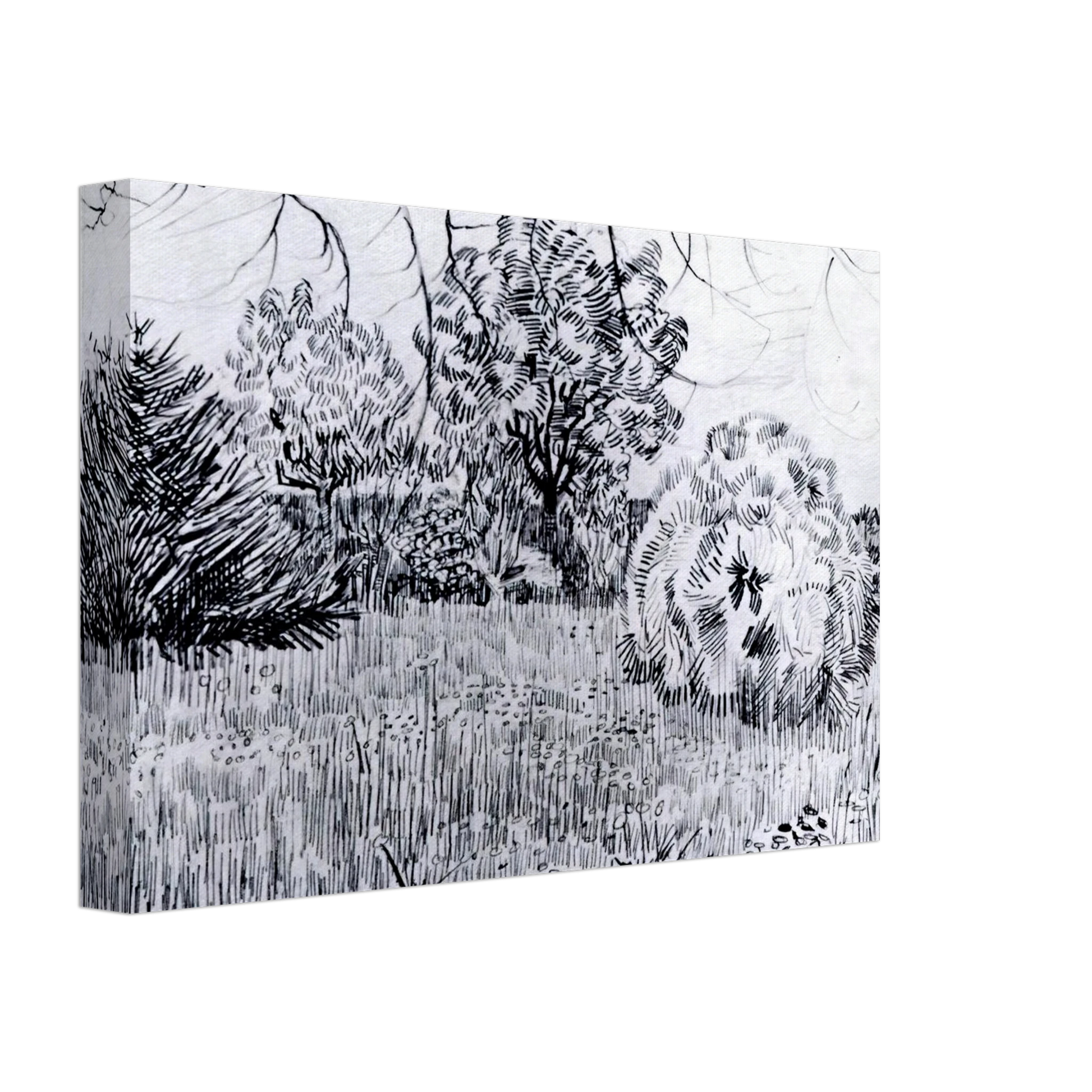 Vincent van Gogh - Park at Arles Canvas - 40x60 cm / 16x24 inches-canvas