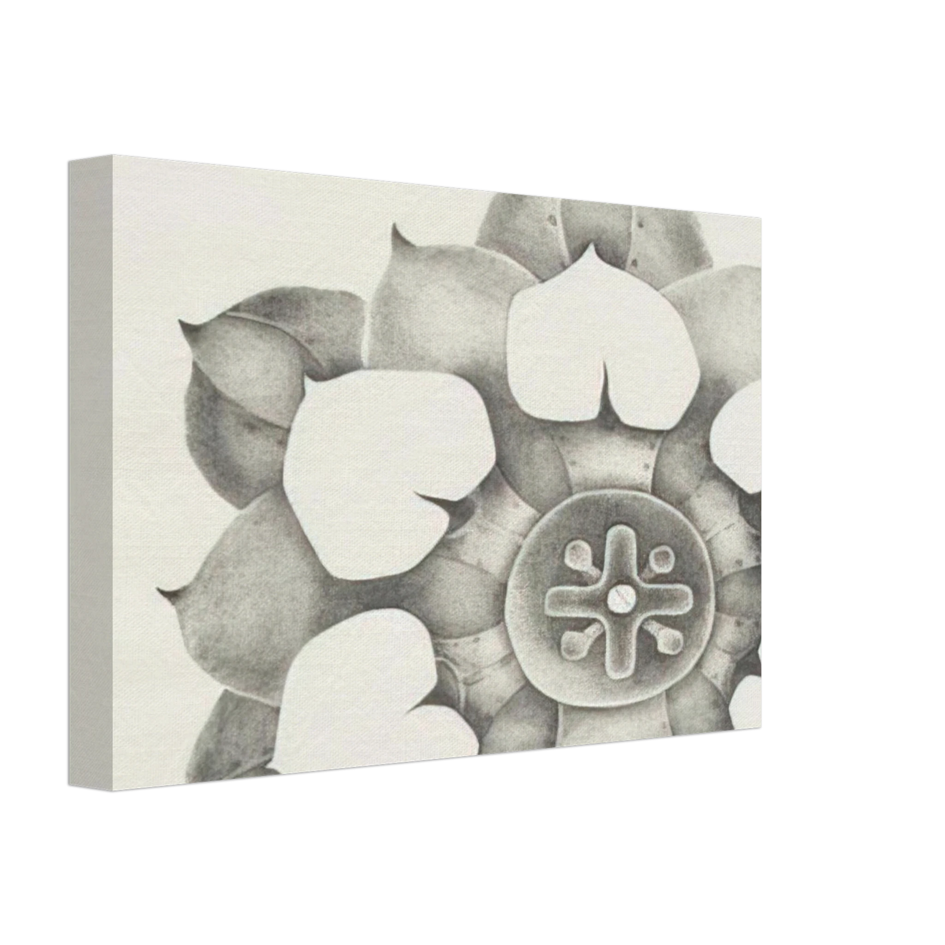 Lee Bontecou - TENTH STONE 1968 Canvas - 70x100 cm / 28x40 inches-canvas