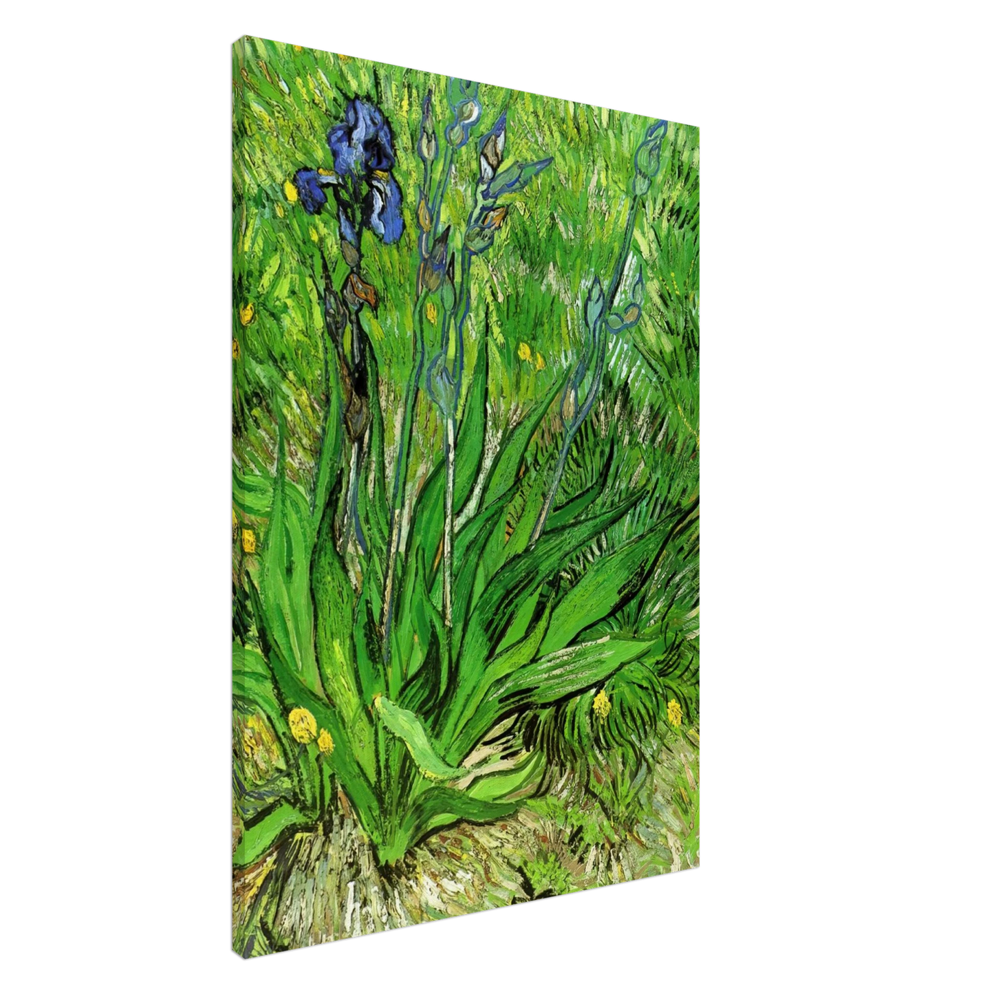 Vincent van Gogh - The Iris Canvas - 20x30 cm / 8x12 inches-canvas