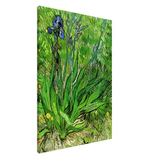 Vincent van Gogh - The Iris Canvas - 20x30 cm / 8x12 inches-canvas