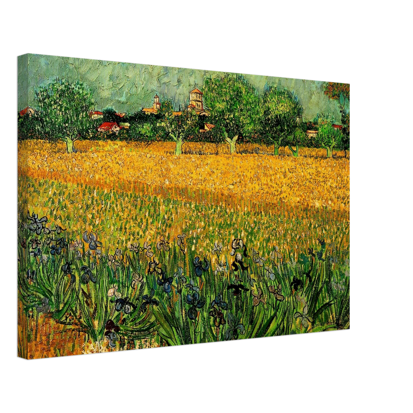 Vincent van Gogh - View of Arles with Irises in the Foreground Canvas - 70x100 cm / 28x40 inches-canvas