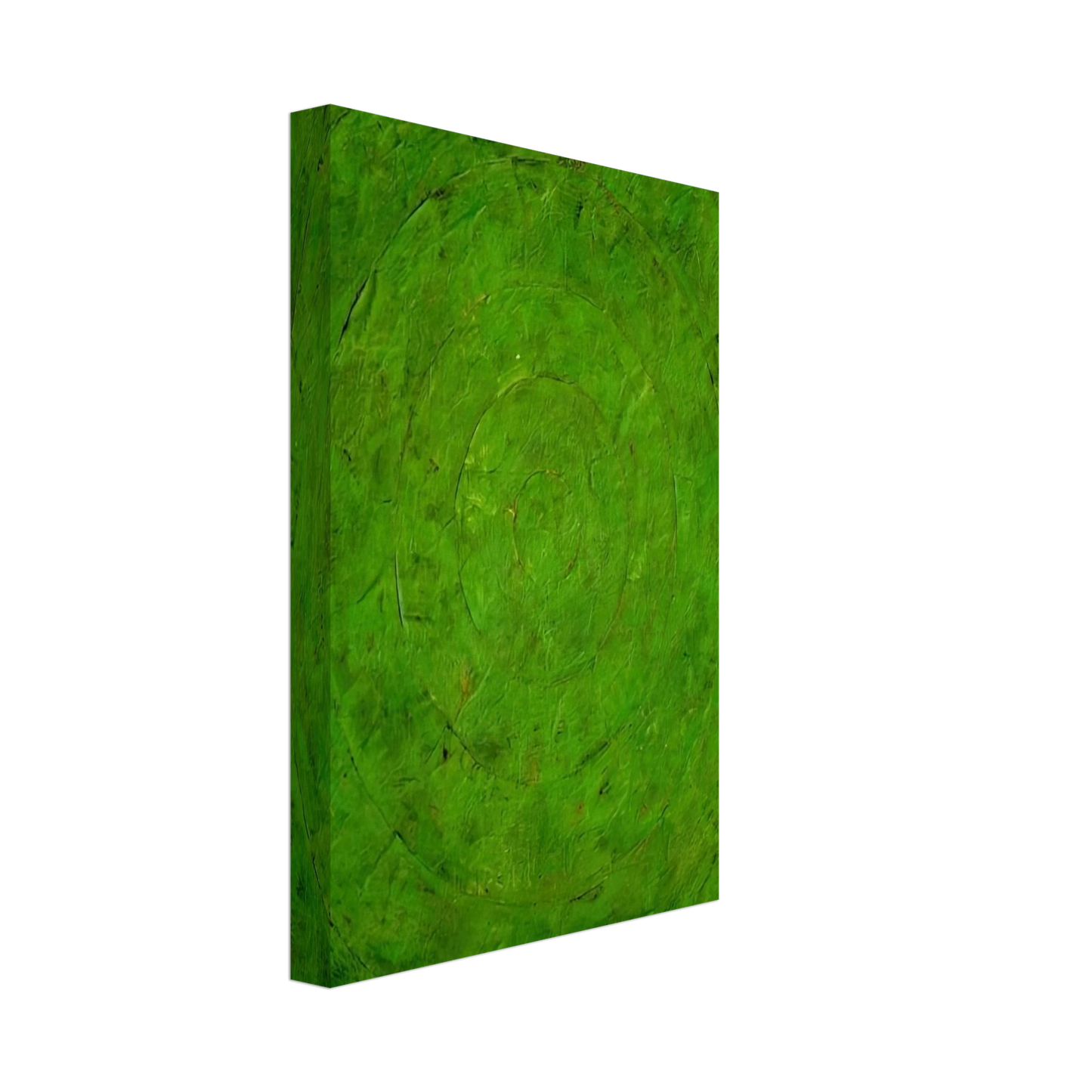 Jasper Johns - GREEN TARGET Canvas - 40x60 cm / 16x24 inches-canvas