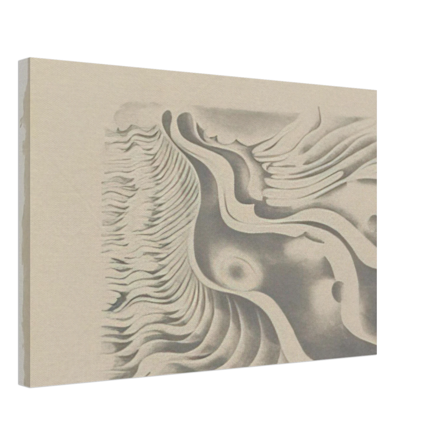 Lee Bontecou - FIFTEENTH STONE 1980 Canvas - 70x100 cm / 28x40 inches-canvas