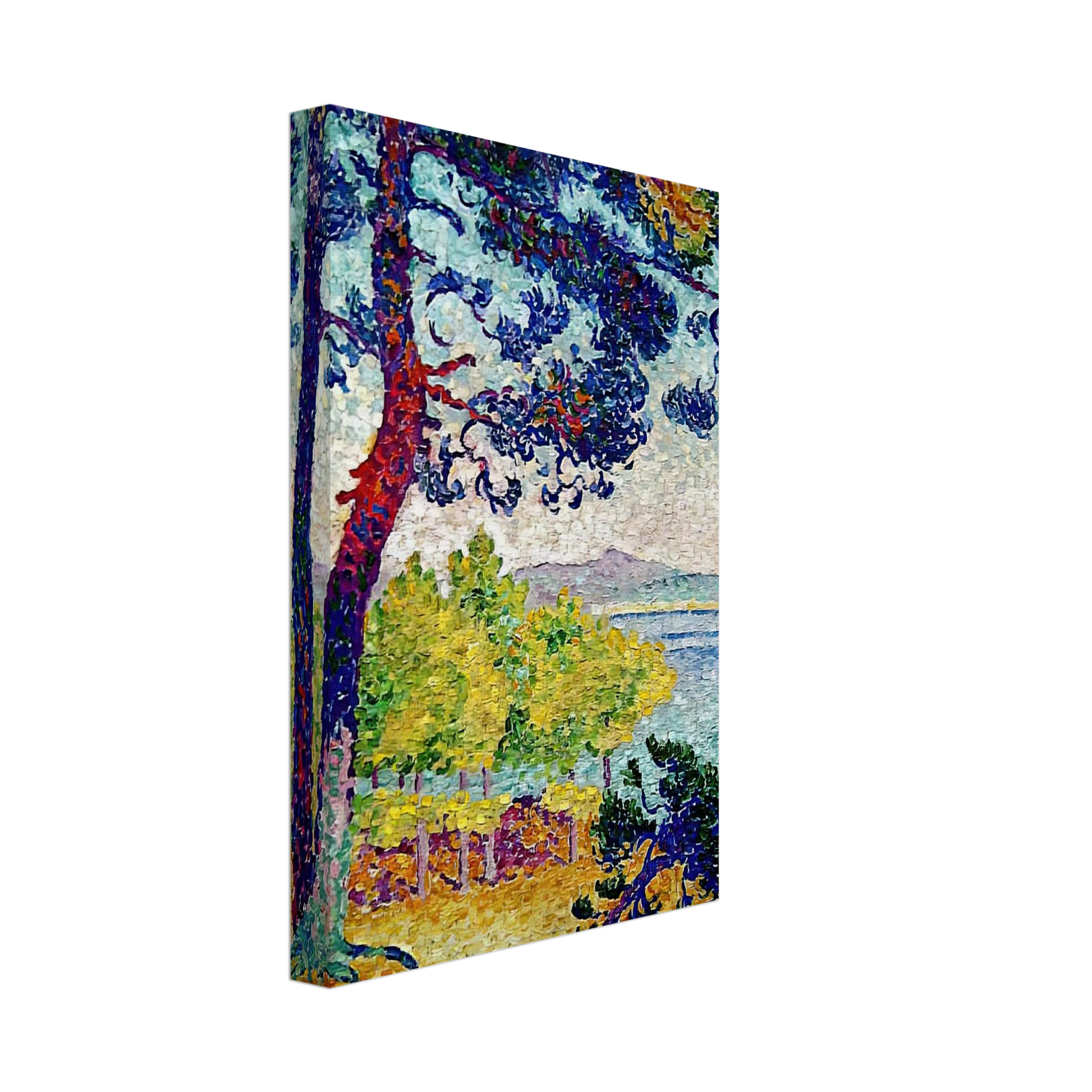 Henri-Edmond Cross - Afternoon at Pardigon, Var Canvas - 40x60 cm / 16x24 inches-canvas