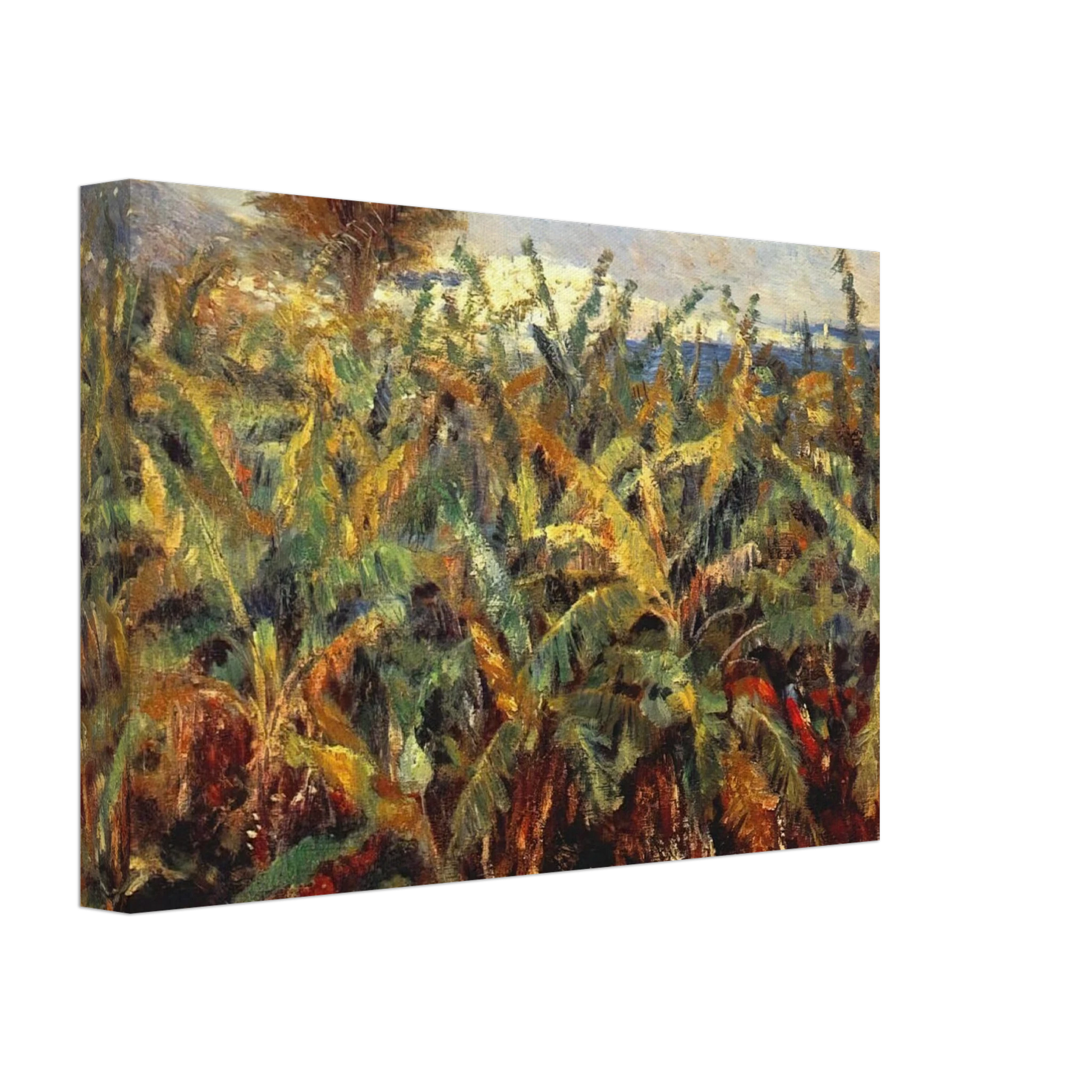 Pierre-Auguste Renoir - Field of Banana Trees Canvas - 70x100 cm / 28x40 inches-canvas