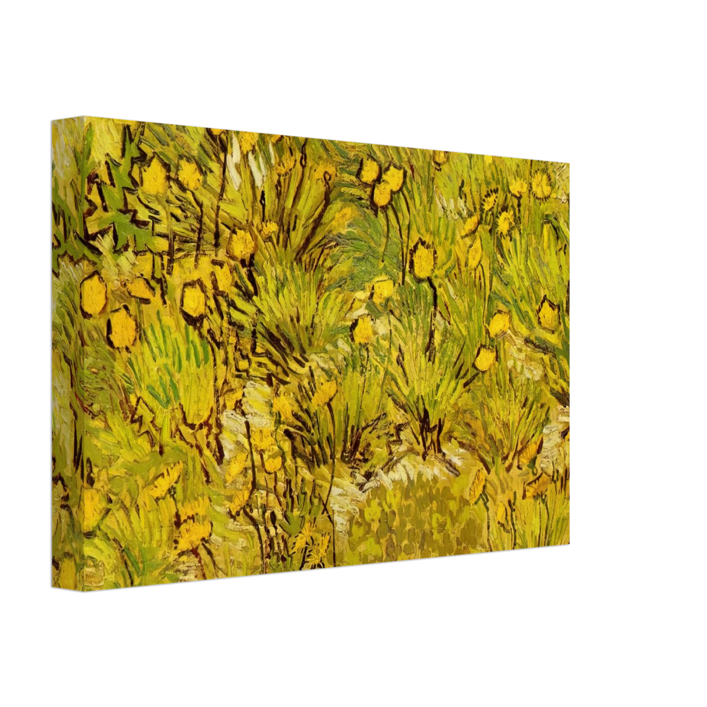 Vincent van Gogh - A Field of Yellow Flowers Canvas - 70x100 cm / 28x40 inches-canvas