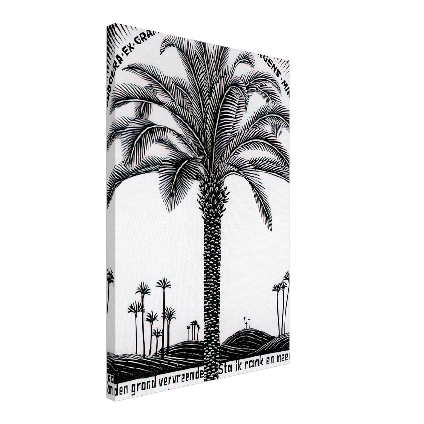 MC Escher - PALM TREE 1 Canvas - 40x60 cm / 16x24 inches-canvas
