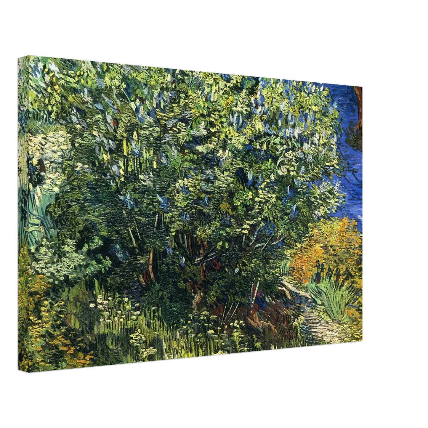 Vincent van Gogh - Lilac Bush Canvas - 70x100 cm / 28x40 inches-canvas