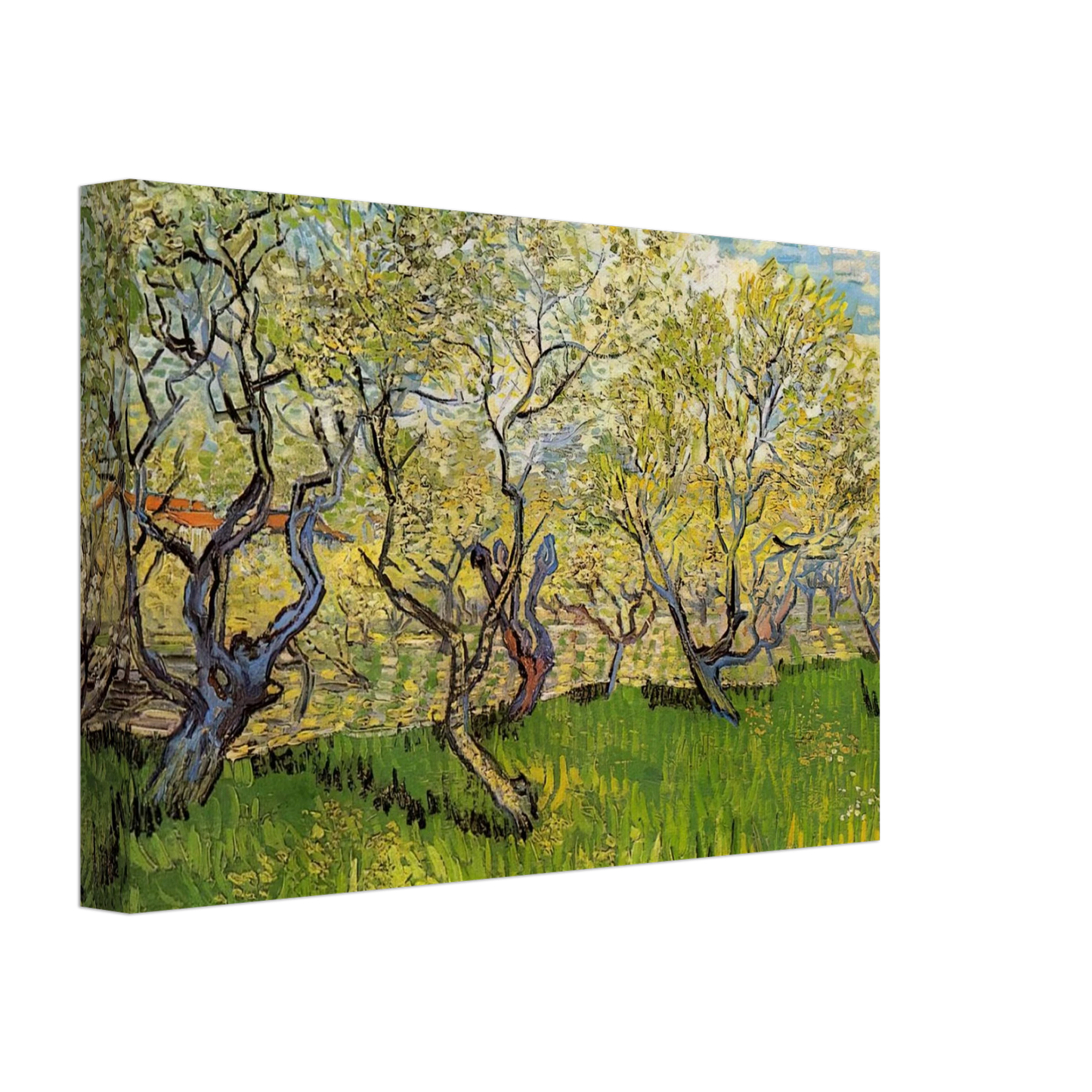 Vincent van Gogh - Orchard in Blossom Canvas - 40x60 cm / 16x24 inches-canvas