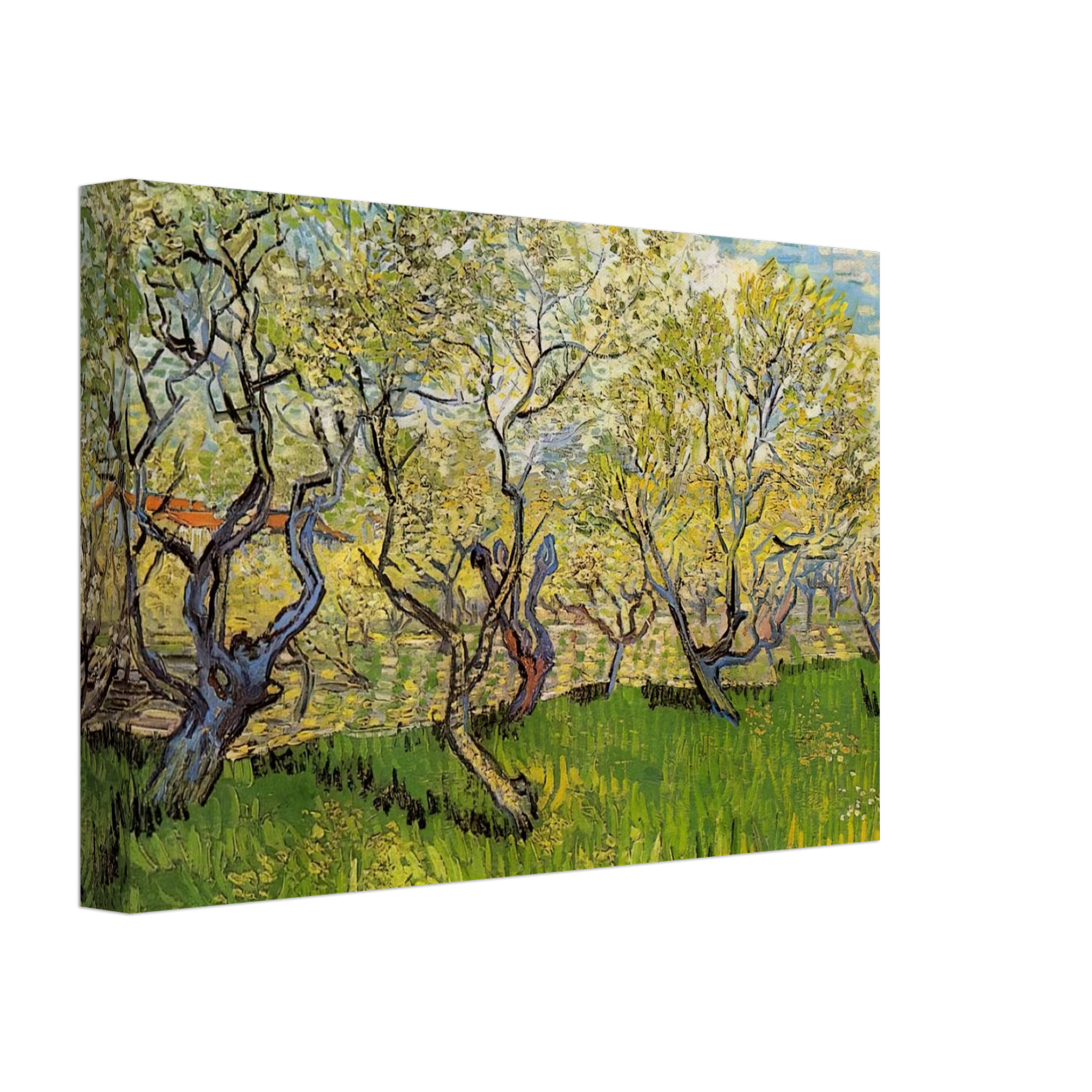 Vincent van Gogh - Orchard in Blossom Canvas - 40x60 cm / 16x24 inches-canvas