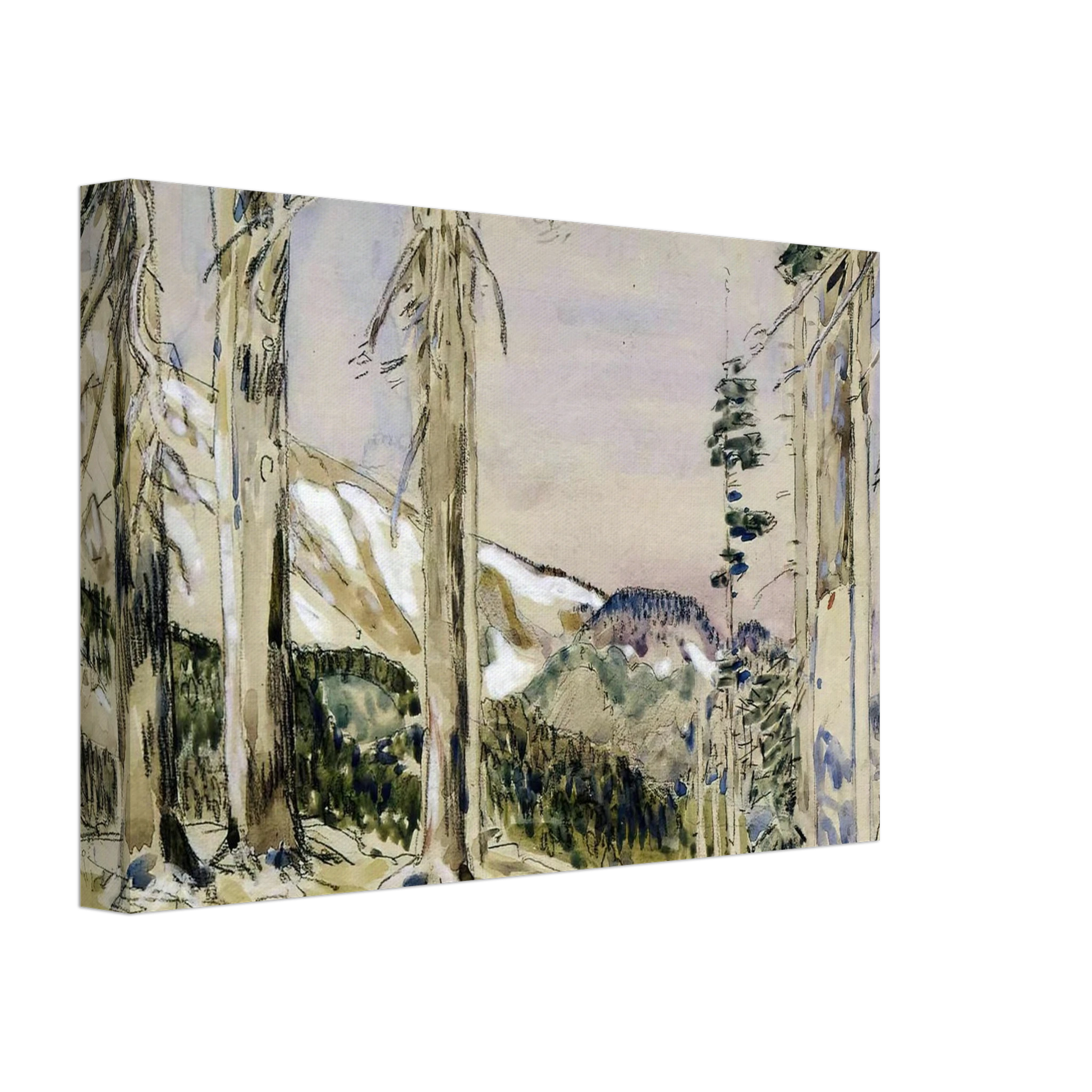 Childe Hassam - End of Timberline, Mt. Hood Canvas - 70x100 cm / 28x40 inches-canvas