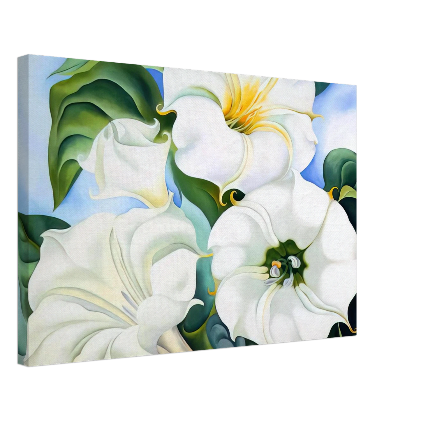Georgia O'Keeffe - Jimson Weed 3 Canvas - 40x60 cm / 16x24 inches-canvas