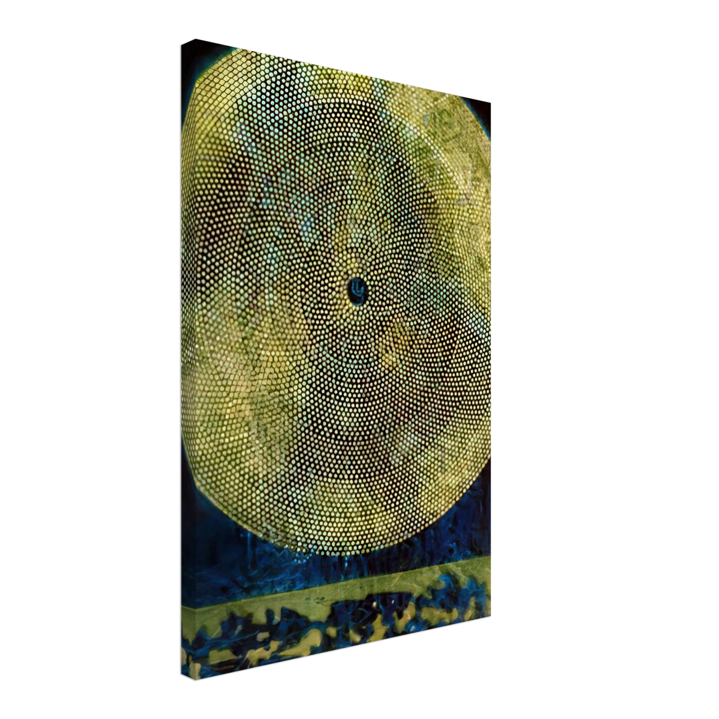 Max Ernst - Birth of a galaxy Canvas - 70x100 cm / 28x40 inches-canvas