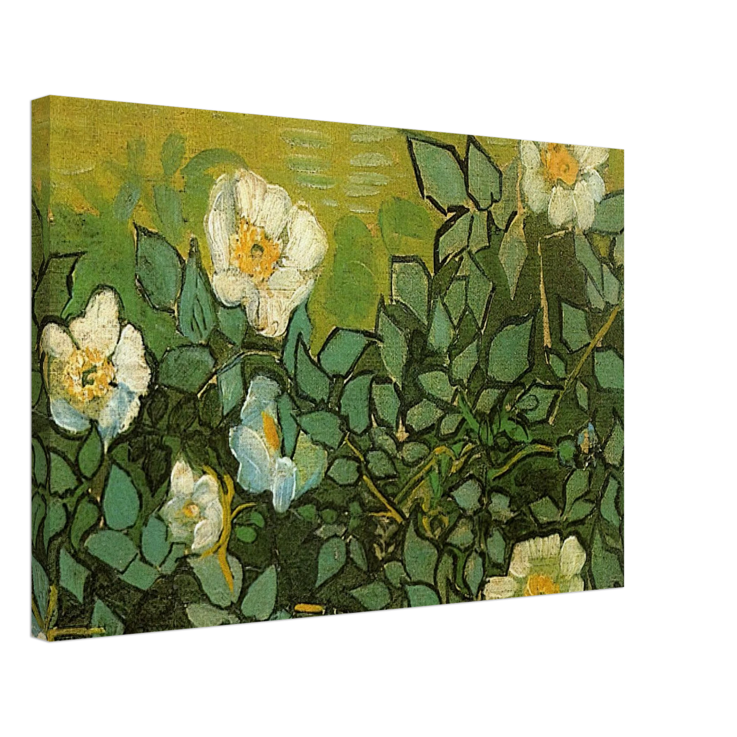 Vincent van Gogh - Wild Roses Canvas - 70x100 cm / 28x40 inches-canvas