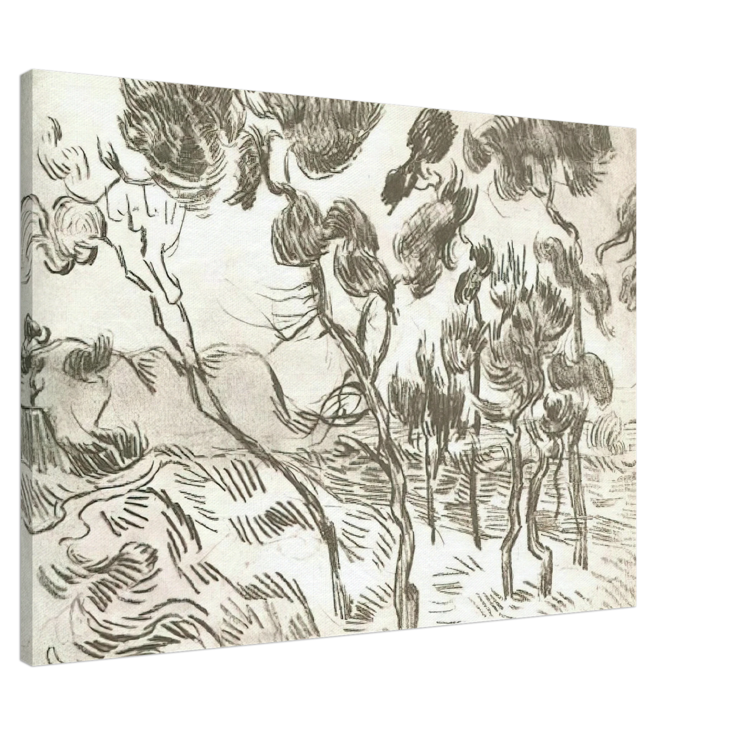 Vincent van Gogh - A Group of Pine Trees near a House Canvas - 20x30 cm / 8x12 inches-canvas